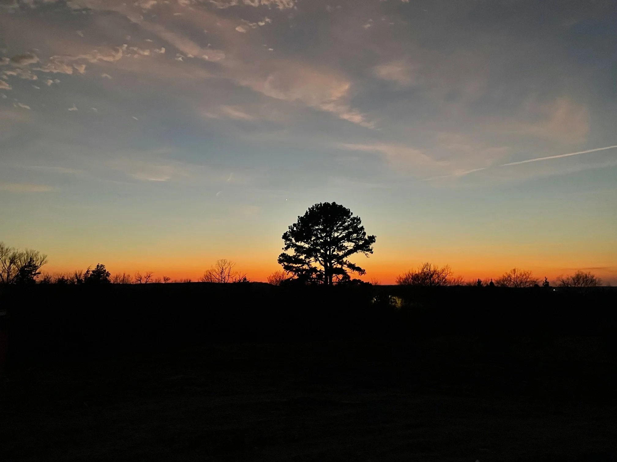 IMG_3364.jpeg
