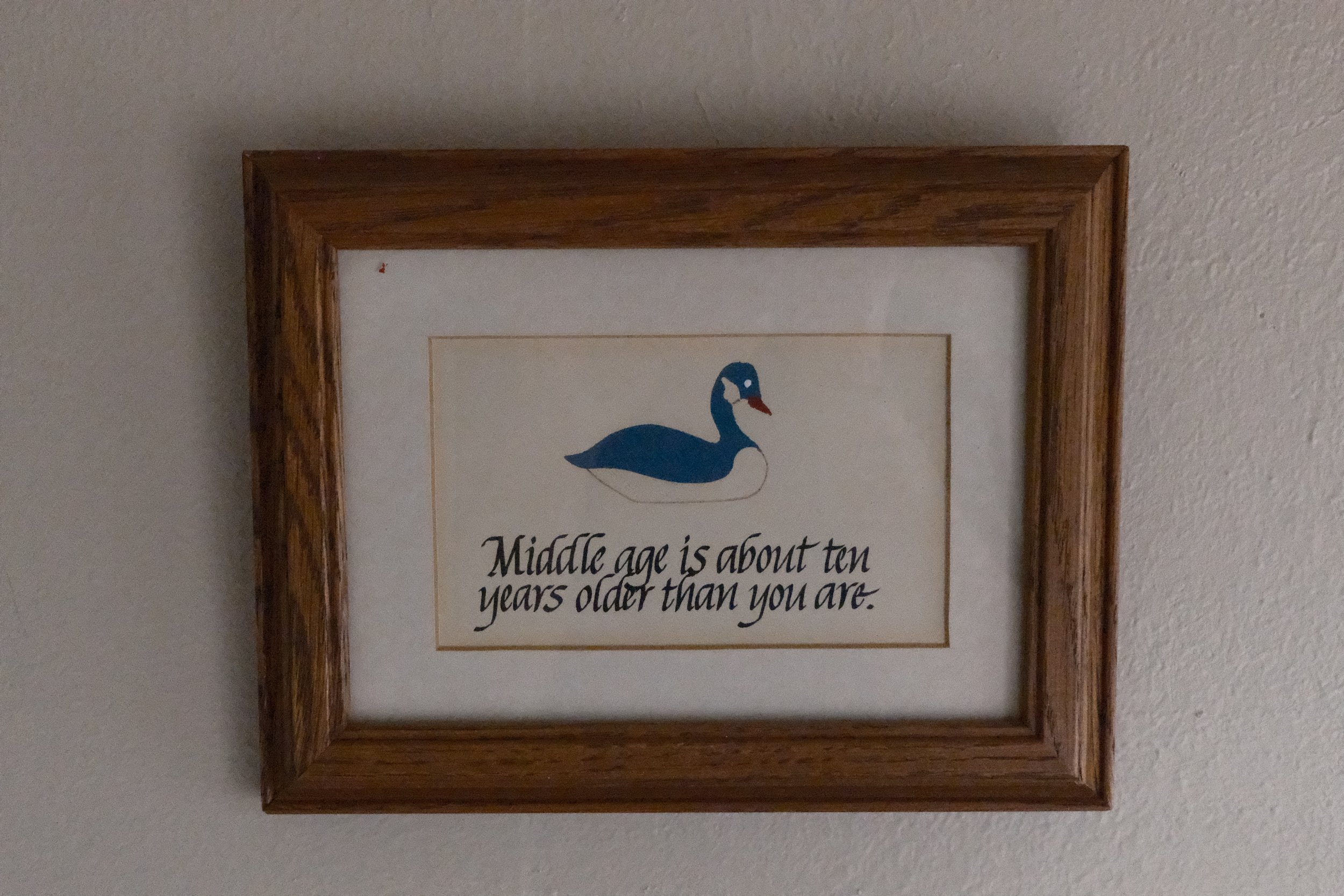 DSCF2091.JPG