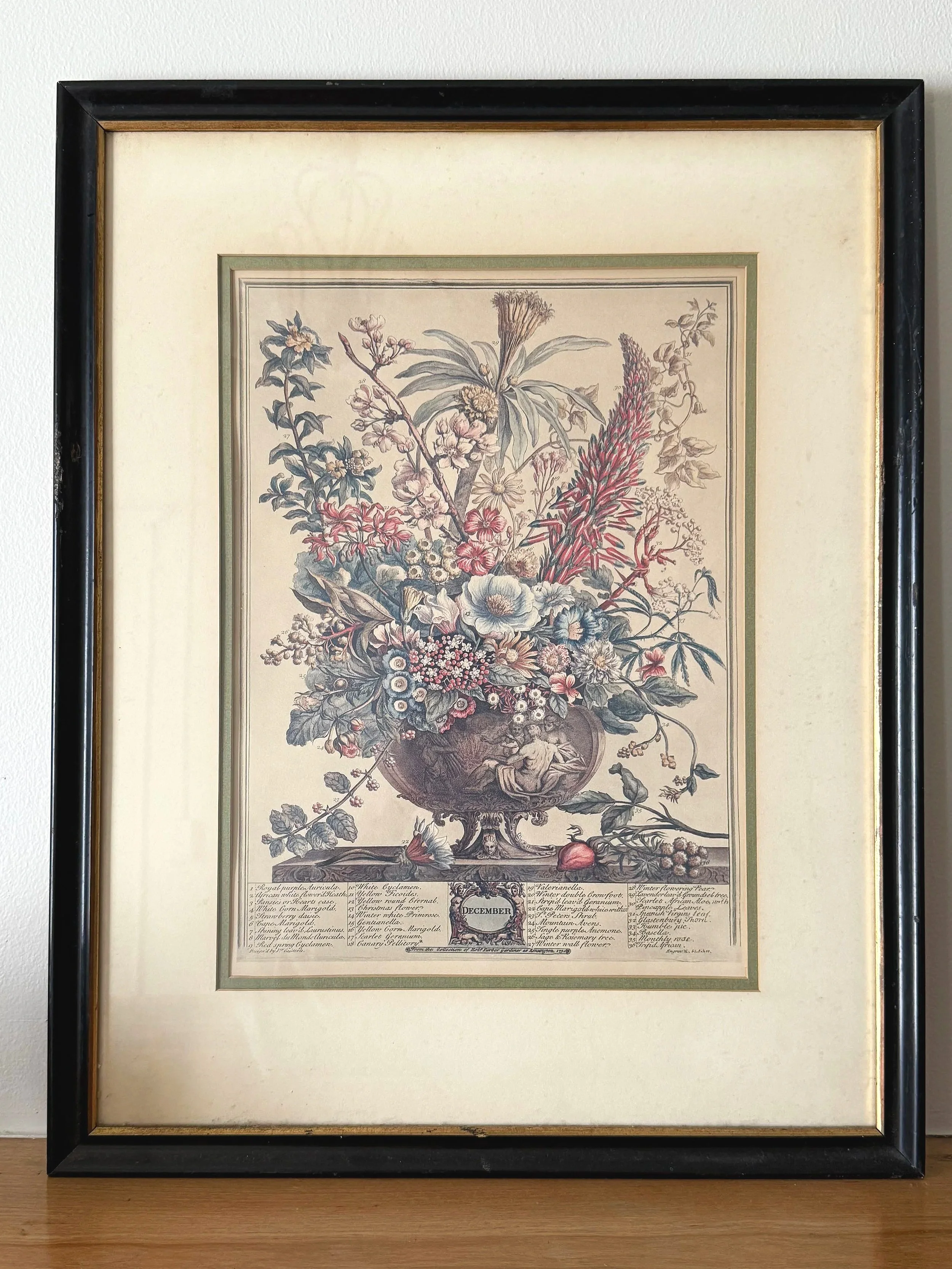 December, The Twelve Months of Flowers Print