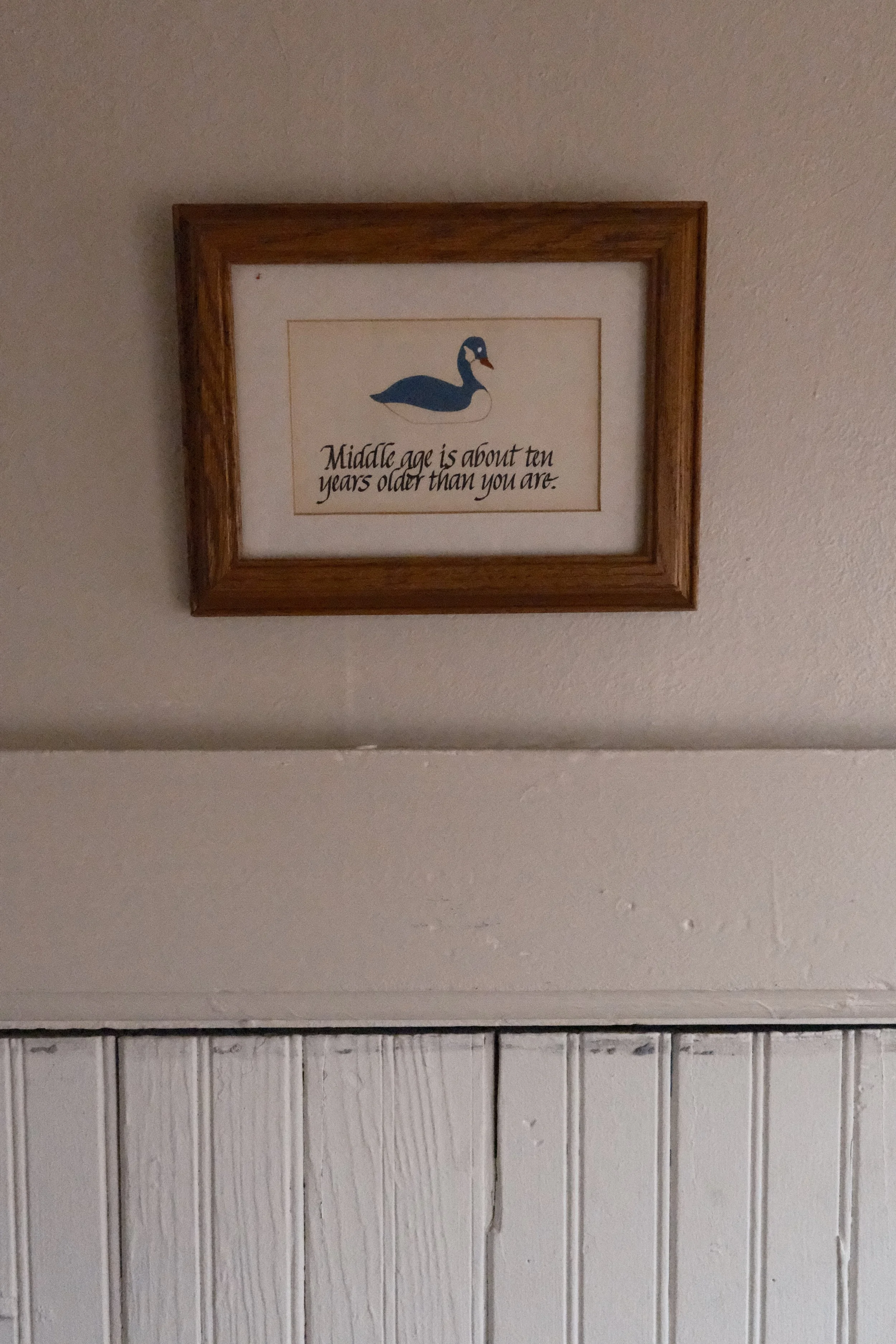DSCF2093.JPG
