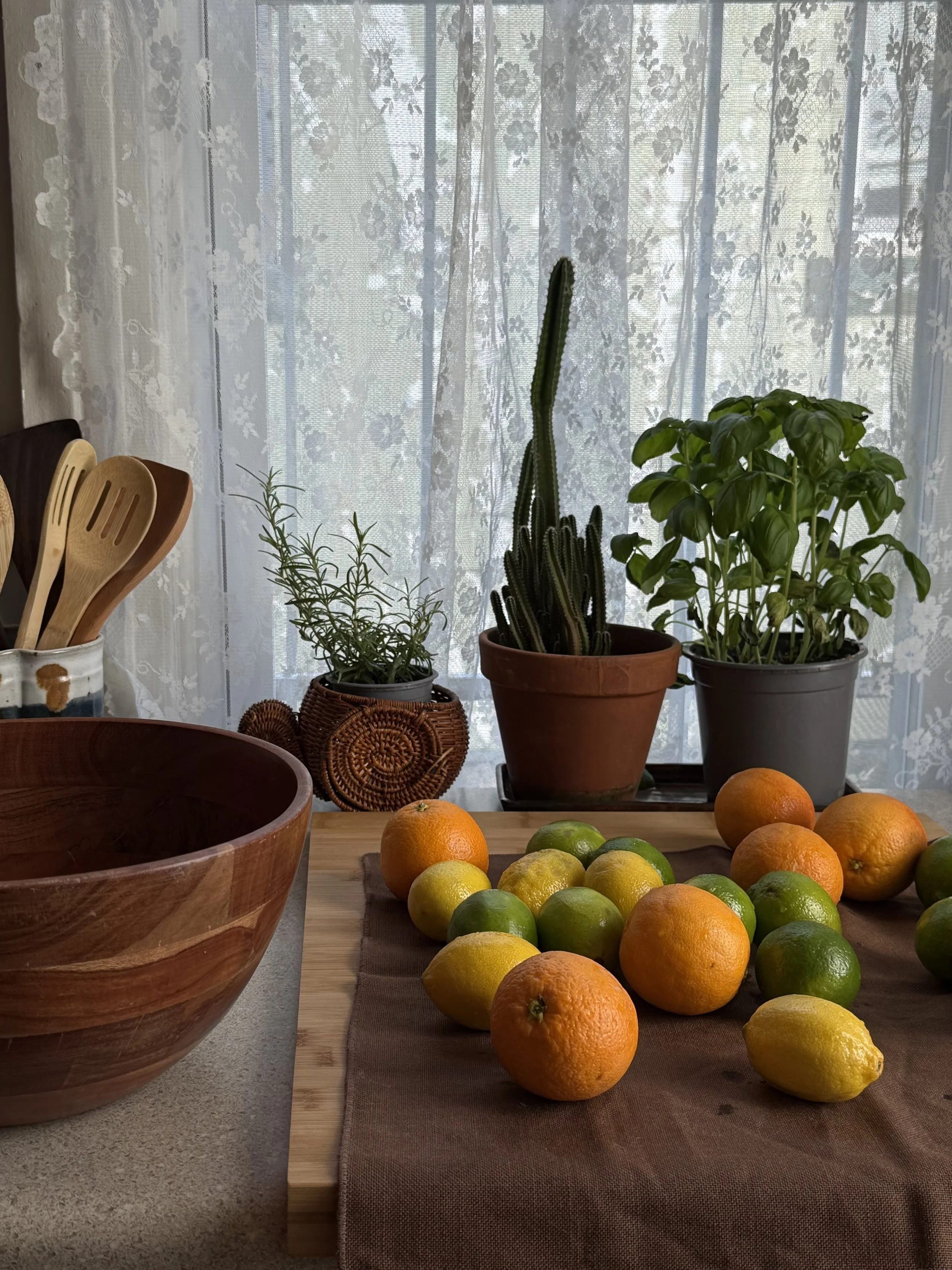 Indoor kitchen scene with citrus fruits, potted plants including basil, rosemary, and cactus, wooden bowls, and kitchen utensils on a table with lace curtains in the background.