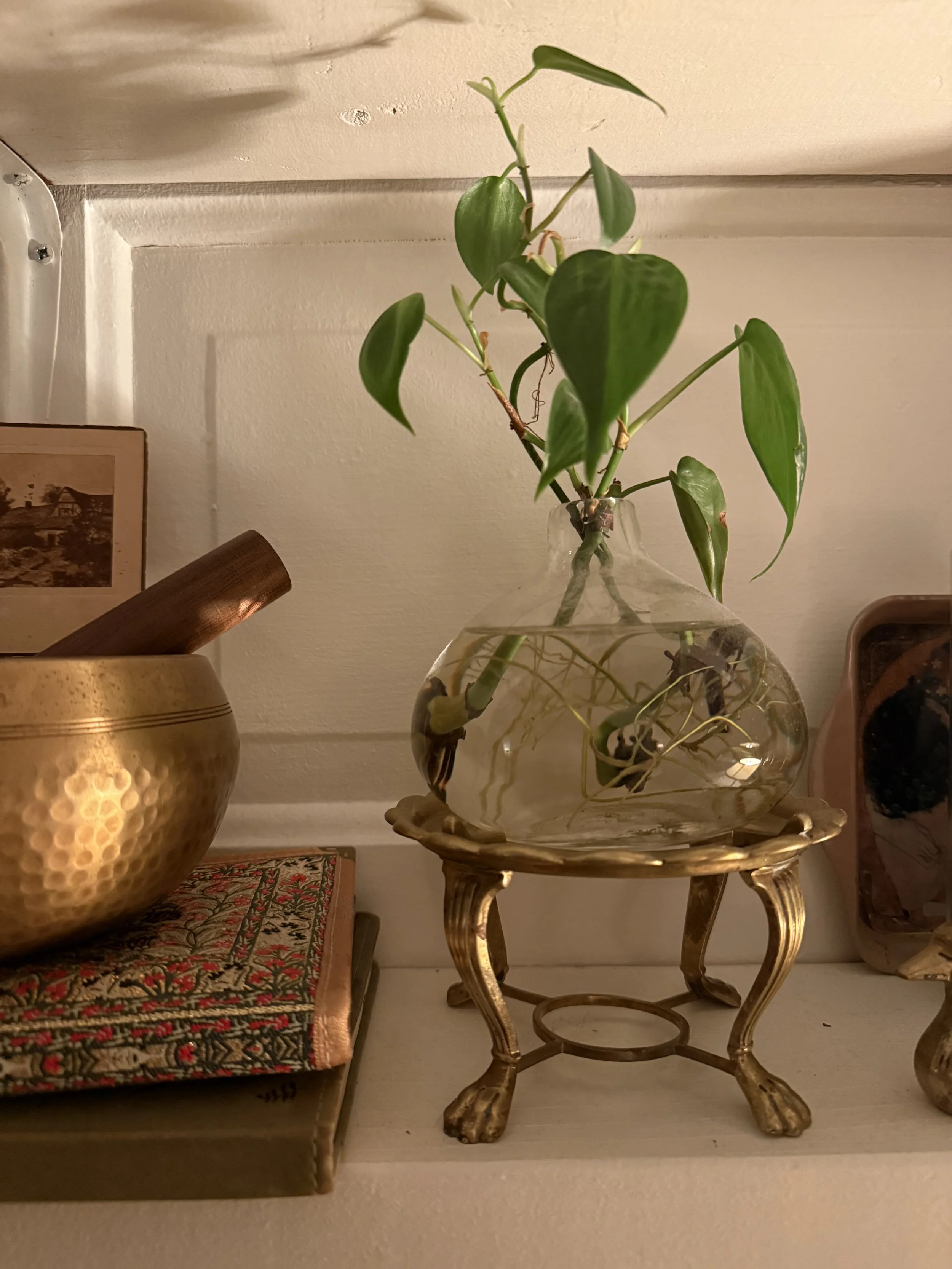 Brass Claw Foot Teapot Warmer