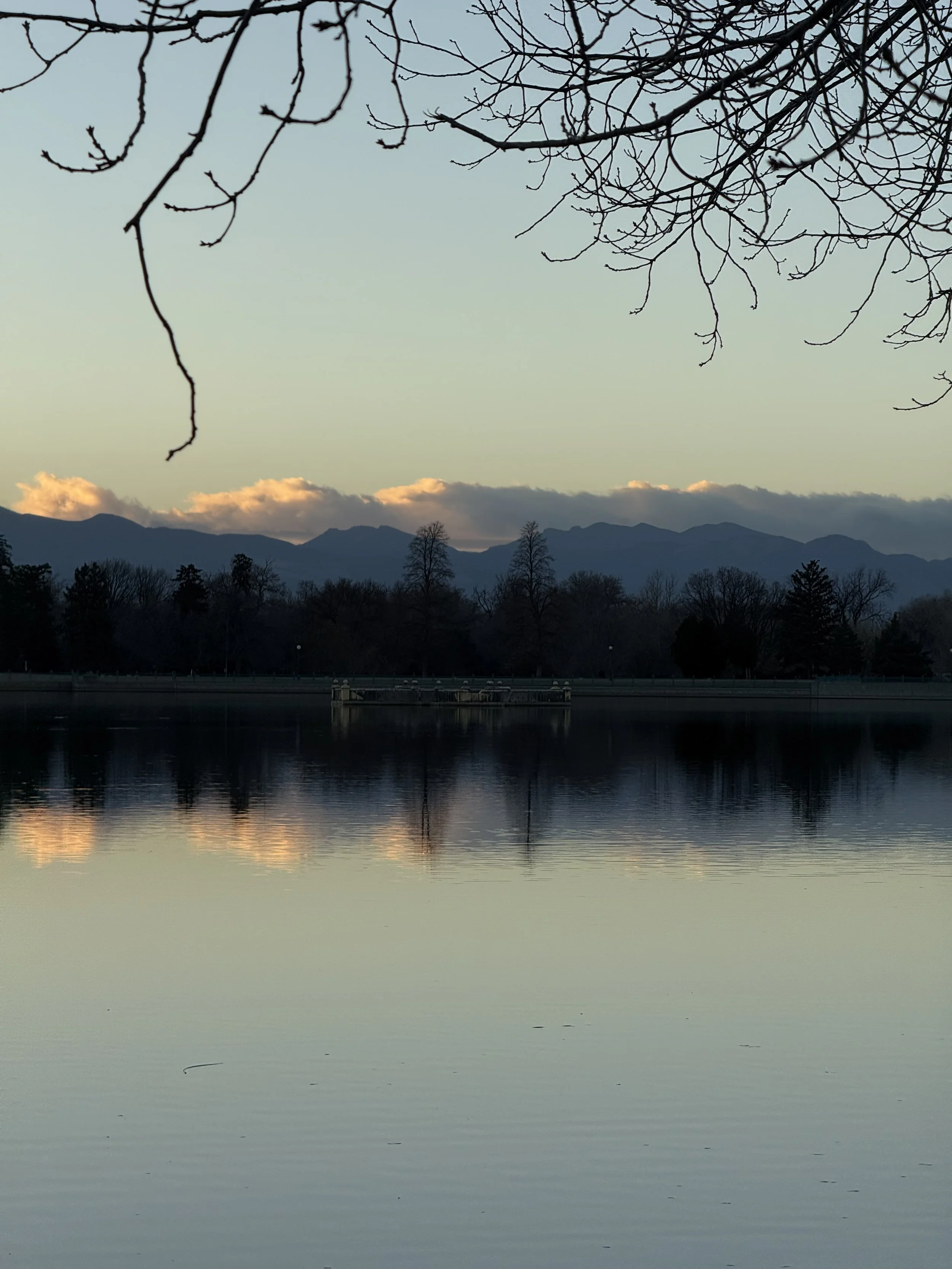 A serene lake with a calm surface reflecting the trees and mountains in the background, with branches from a tree in the foreground and a partly cloudy sky.