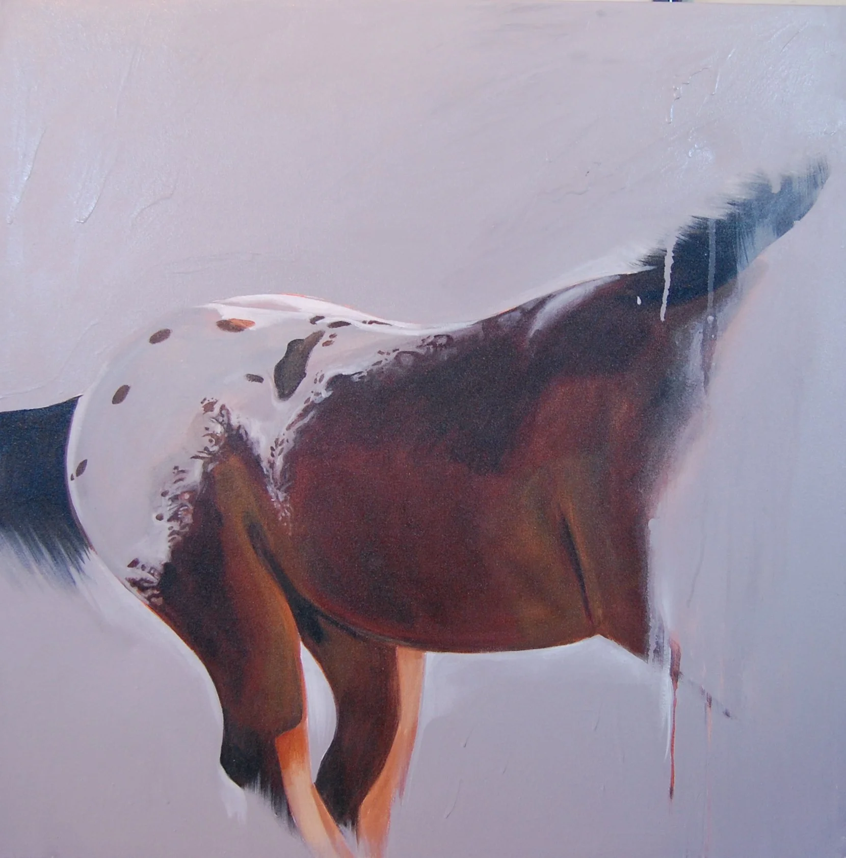 Close-up view of a horse's head and neck, with glossy coat, against a light gray background.