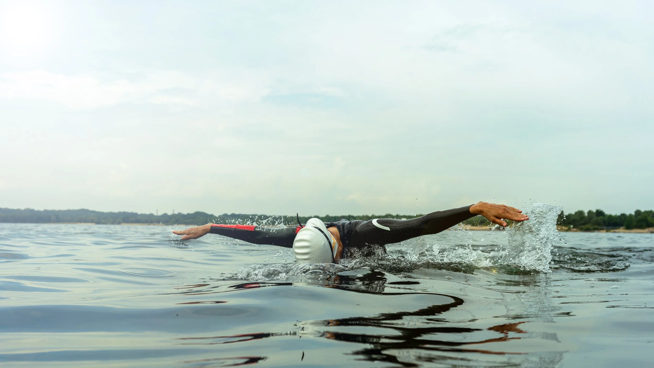 swimming-dolphin-style-2026-01-09-13-07-22-utc.jpg
