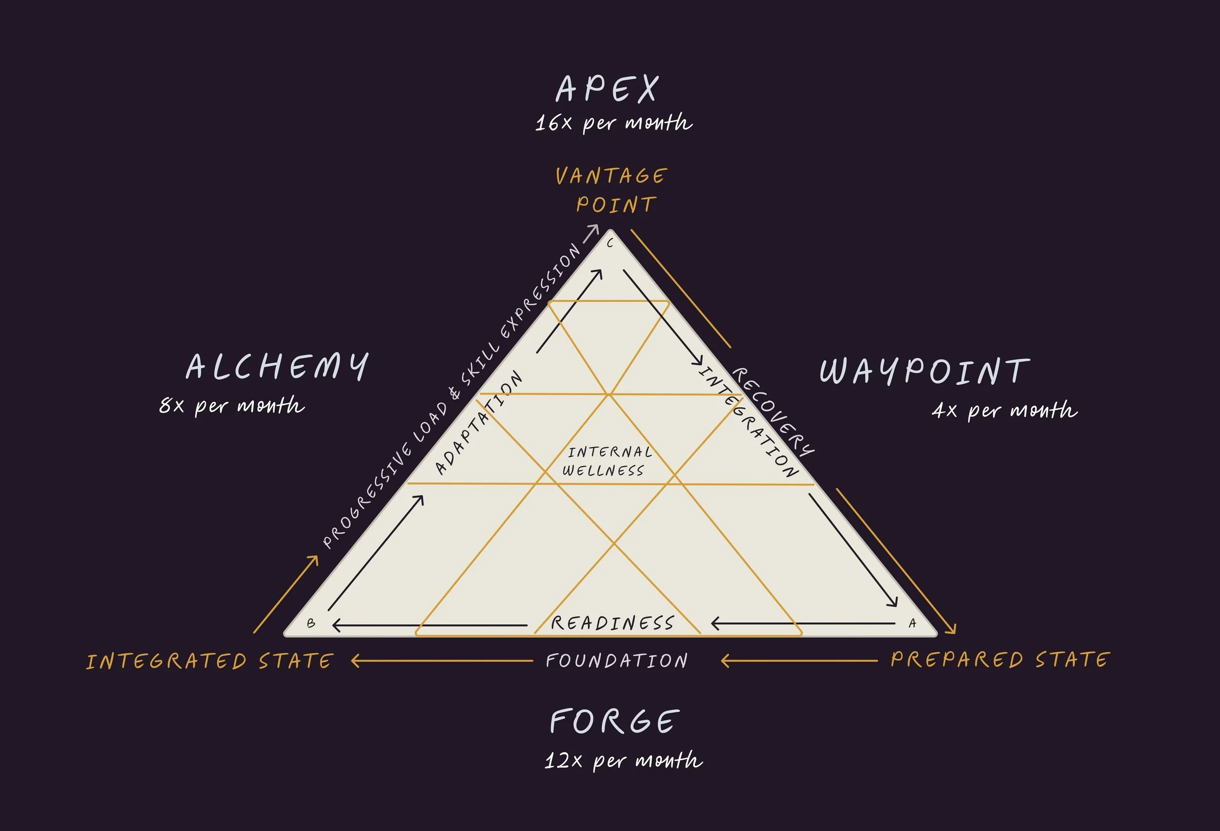 Diagram of a pyramid with sections labeled Alchemy, Apex, Waypoint, and Forge. The pyramid has dotted lines and arrows indicating progression through different states such as One Load & Skill Expression, Adaptation, Internal Wellness, and Readiness.