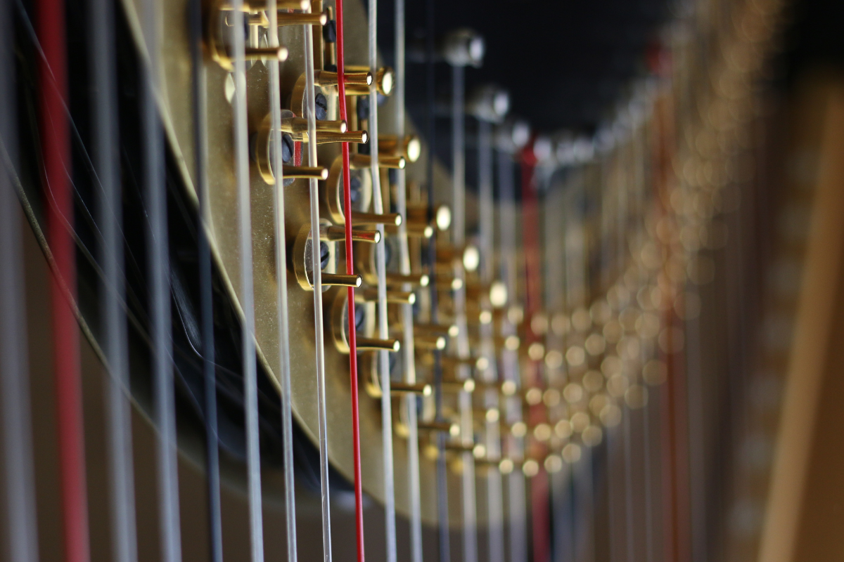 Northern Musical Theatre Orchestra: Some Enchanted Evening