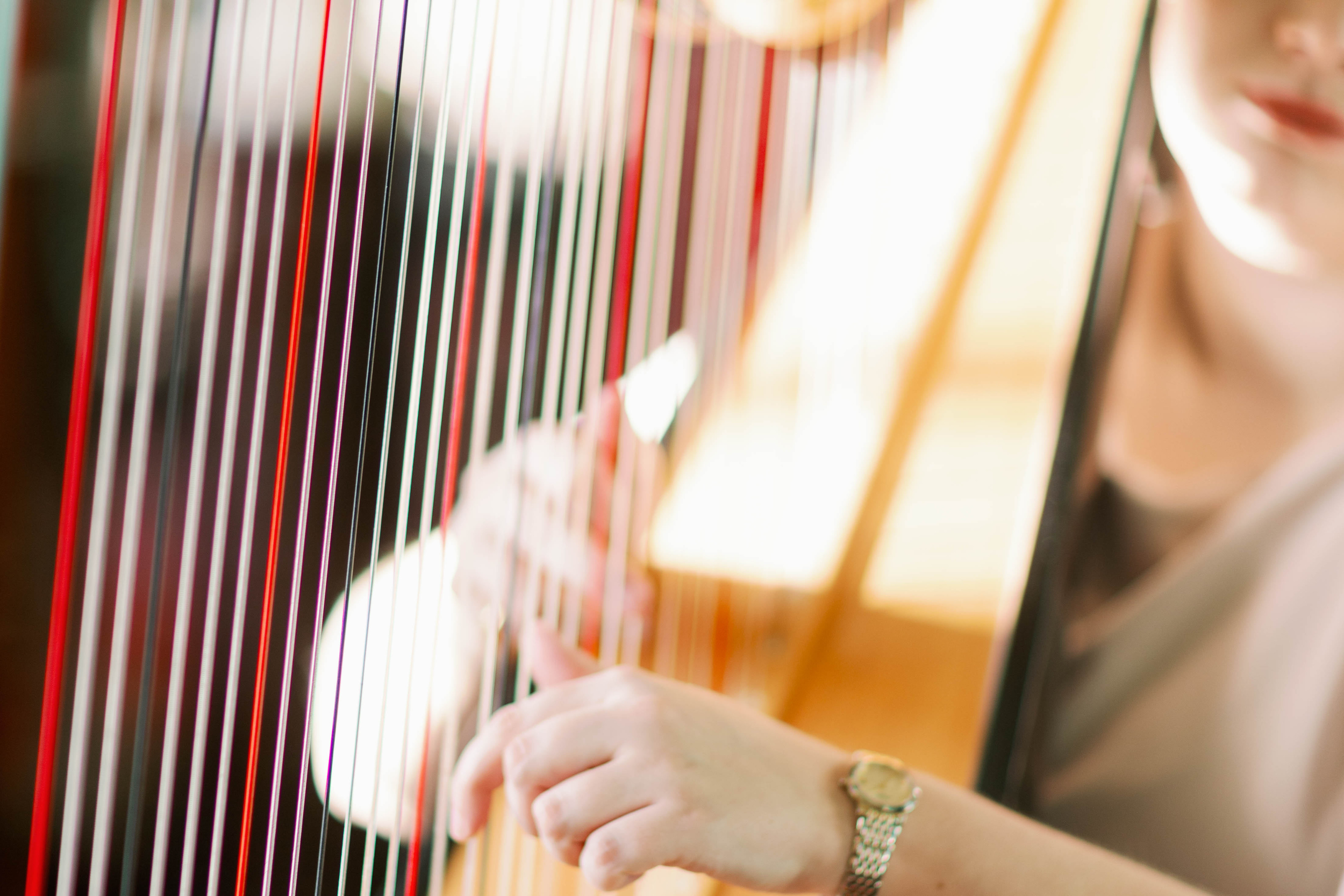 prestwold hall wedding harriet flather harpist.png