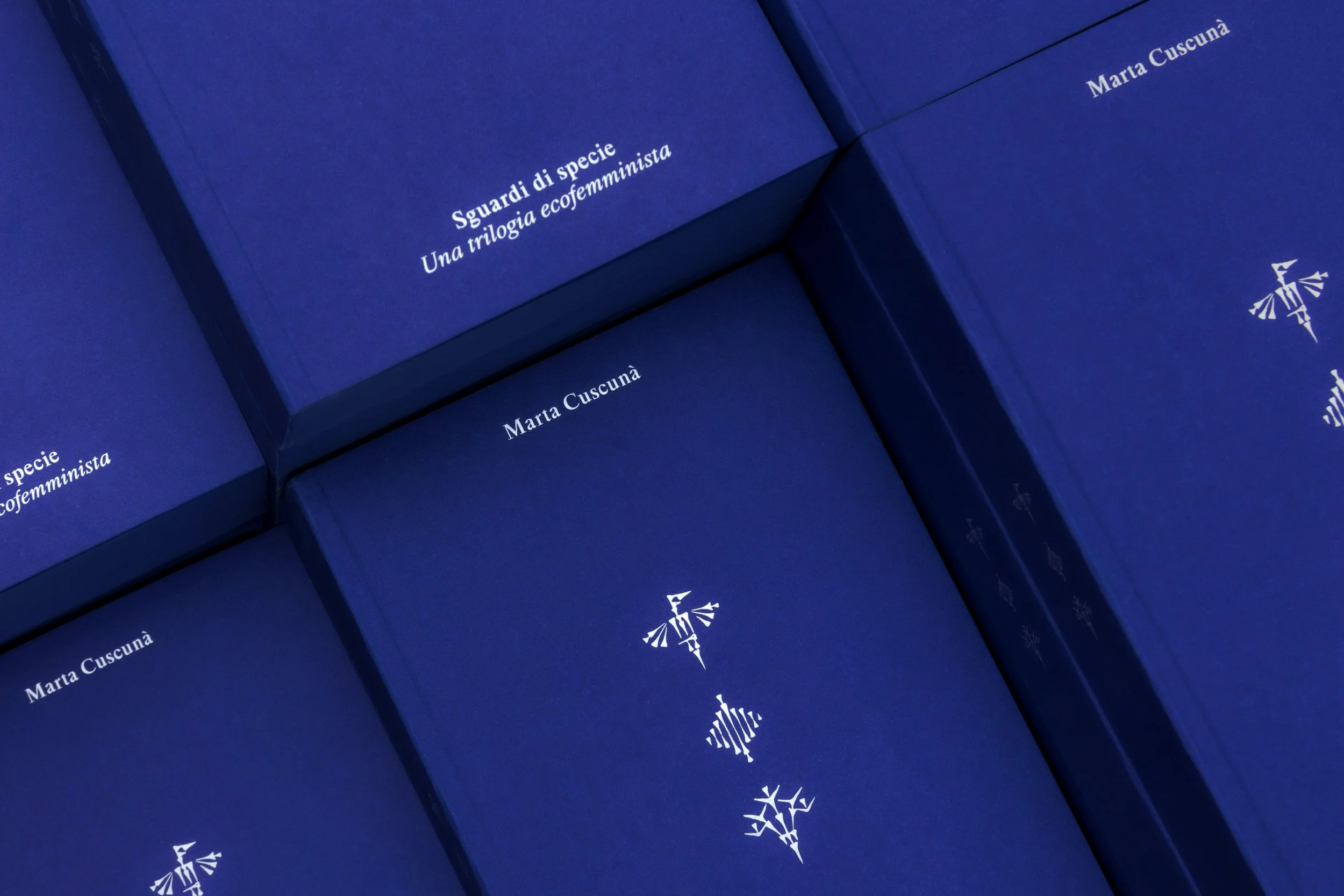 Book-Cover-Top-View(2).jpg