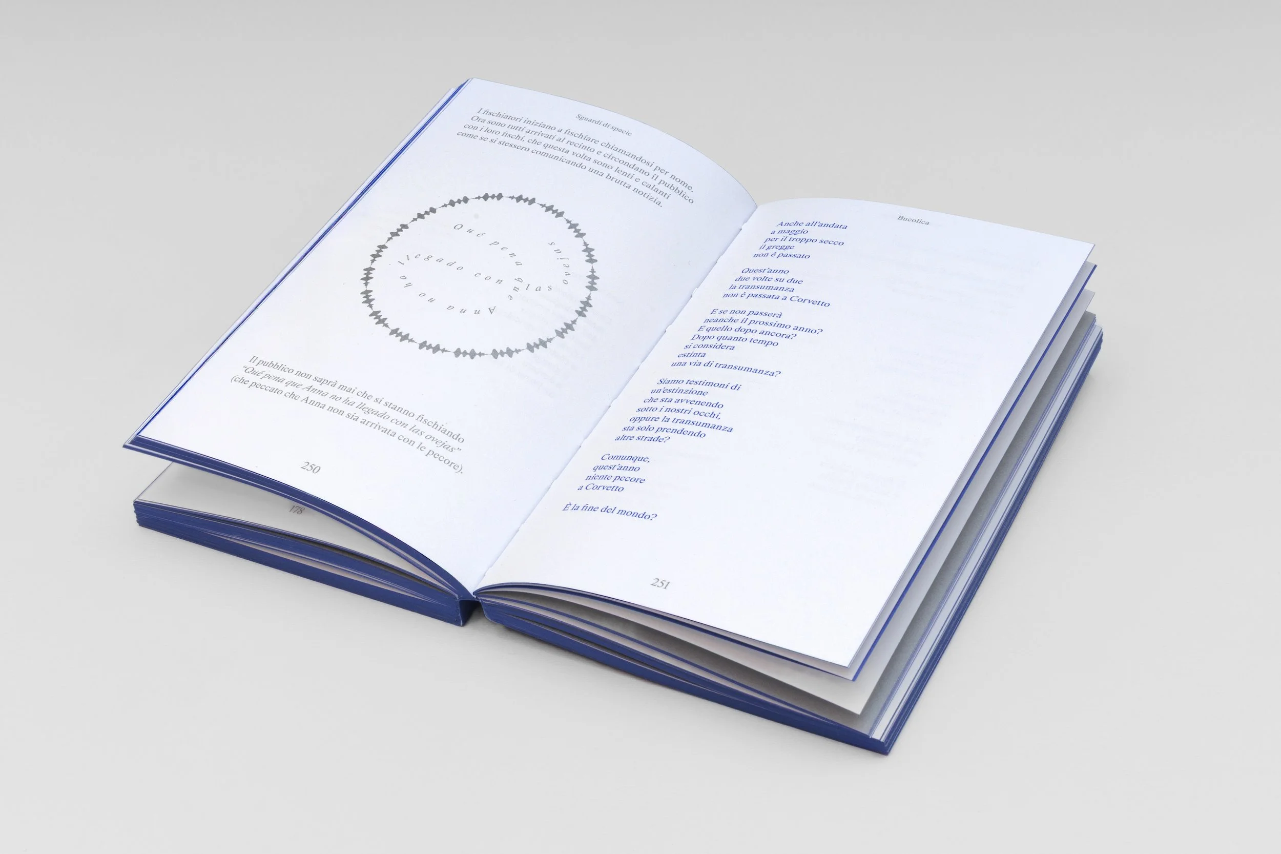 Book-Interior-250.jpg