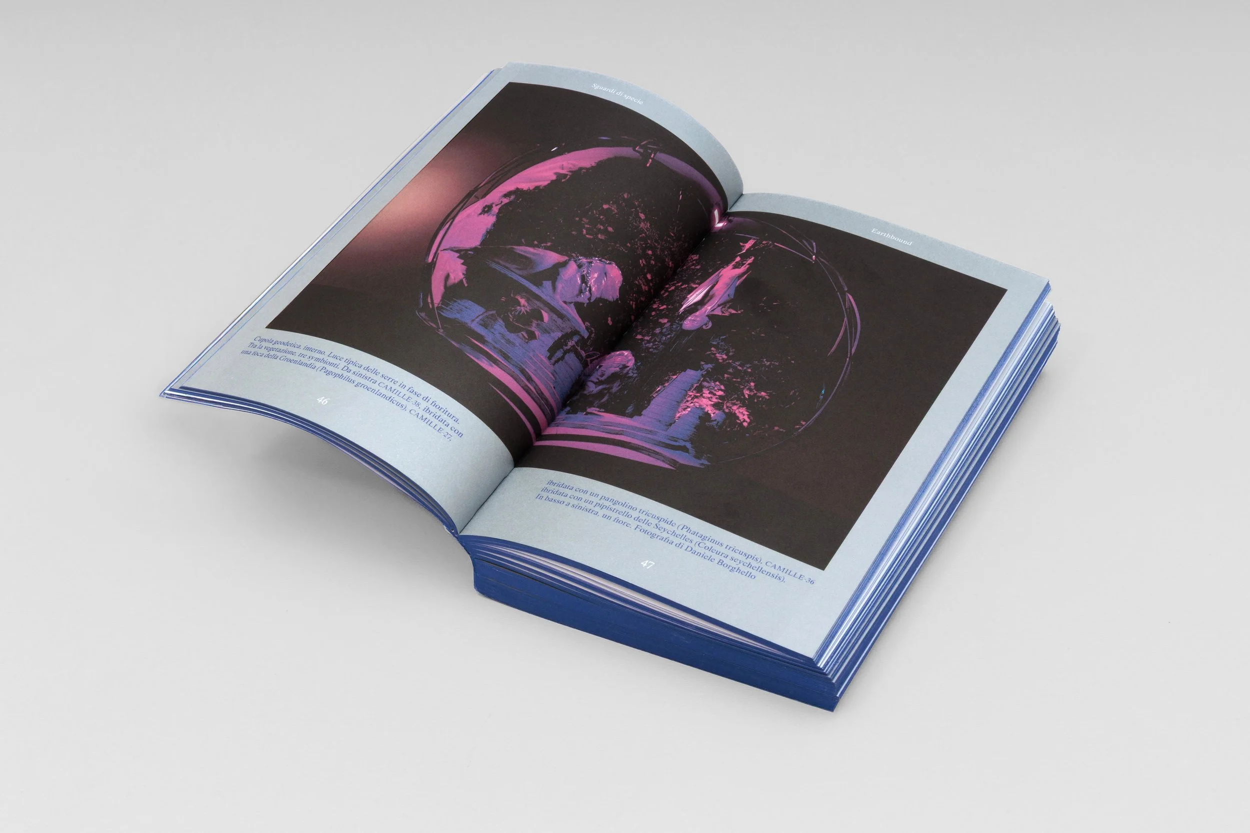 Book-Interior-46-47.jpg