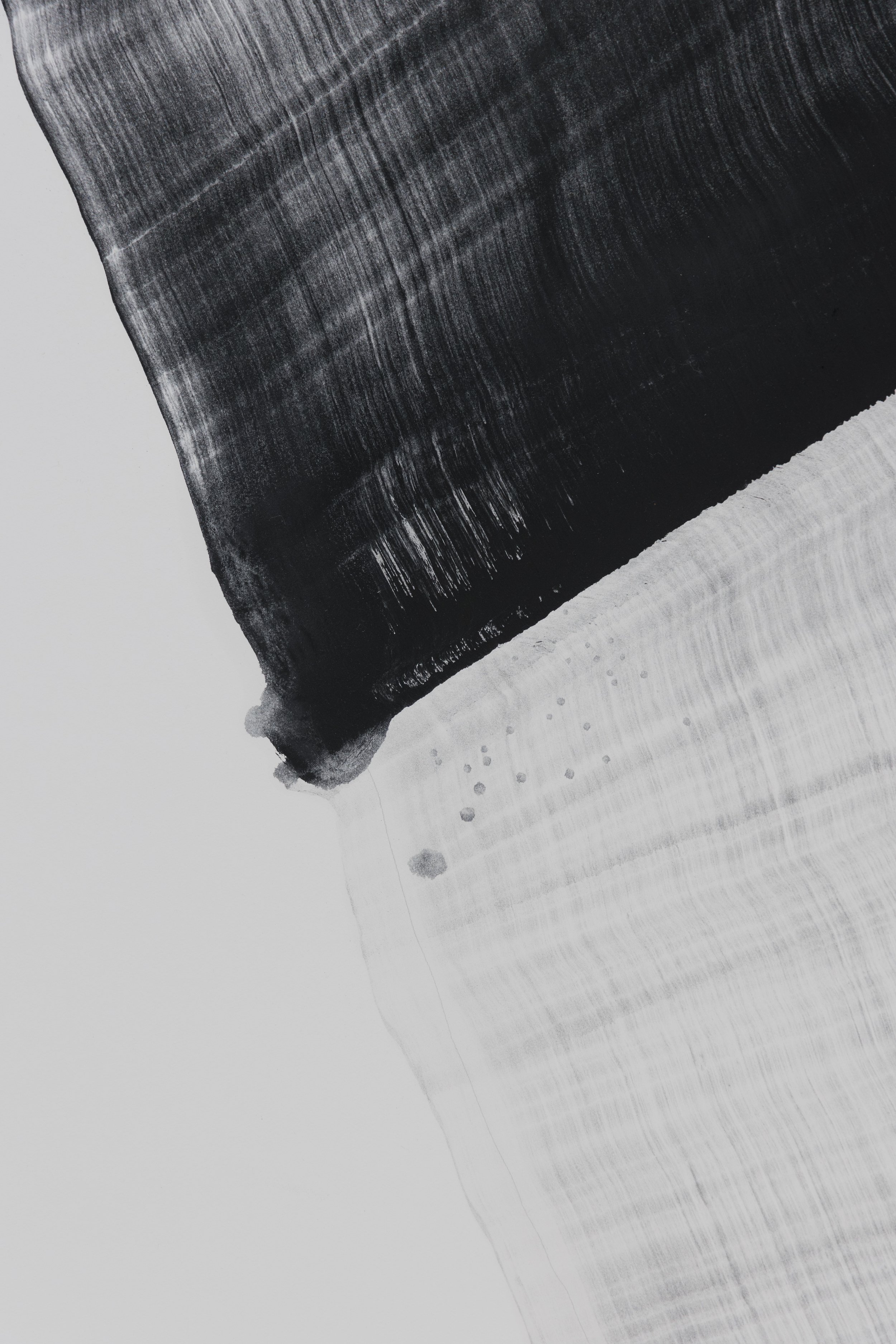 Wilmotte Foundation1.jpg