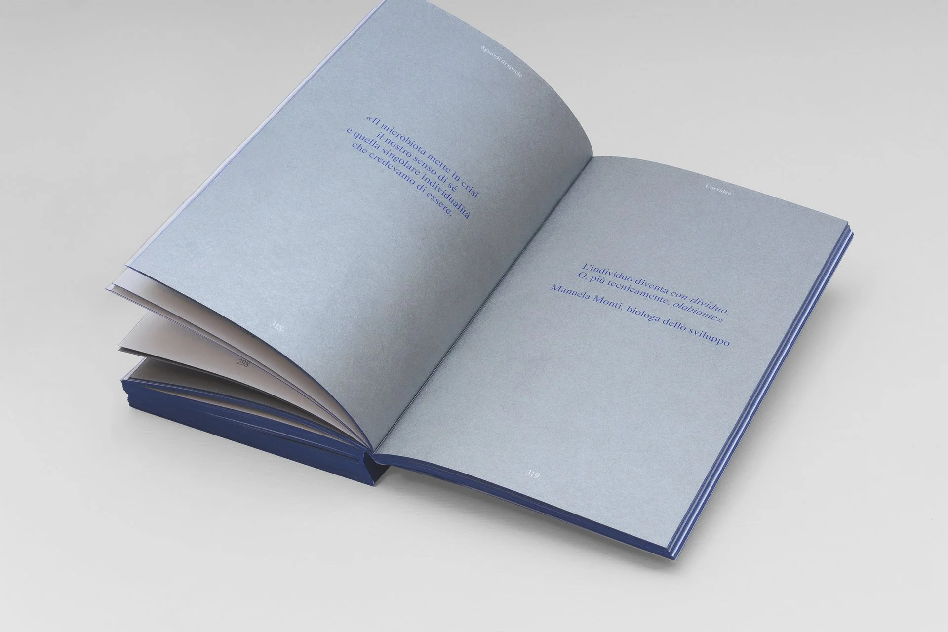 Book-Interior-318-319.jpg