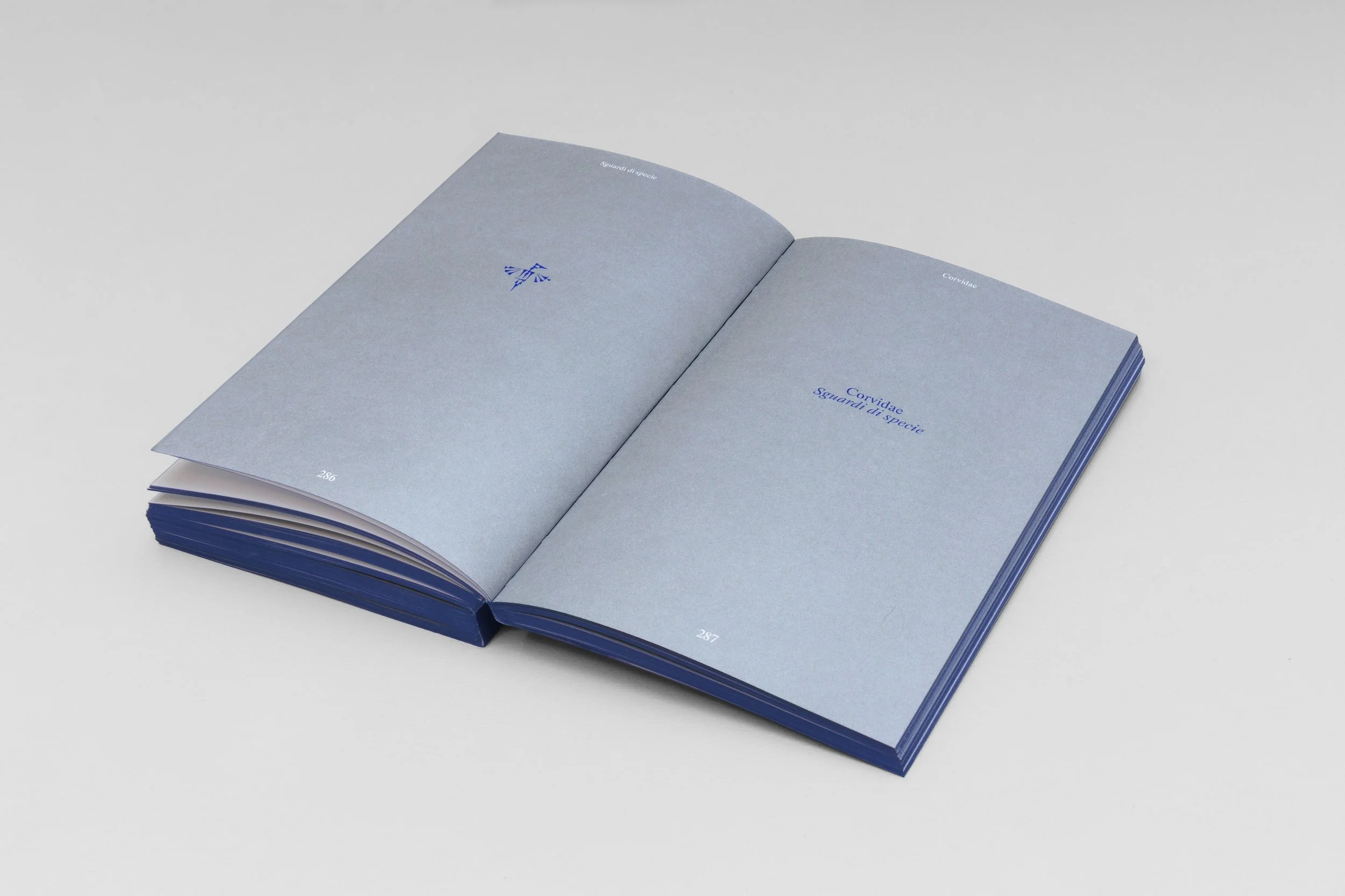 Book-Interior-286-287.jpg