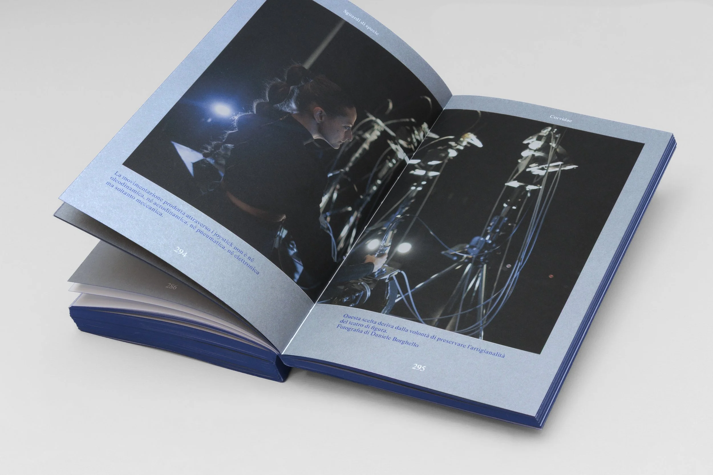 Book-Interior-294-295.jpg