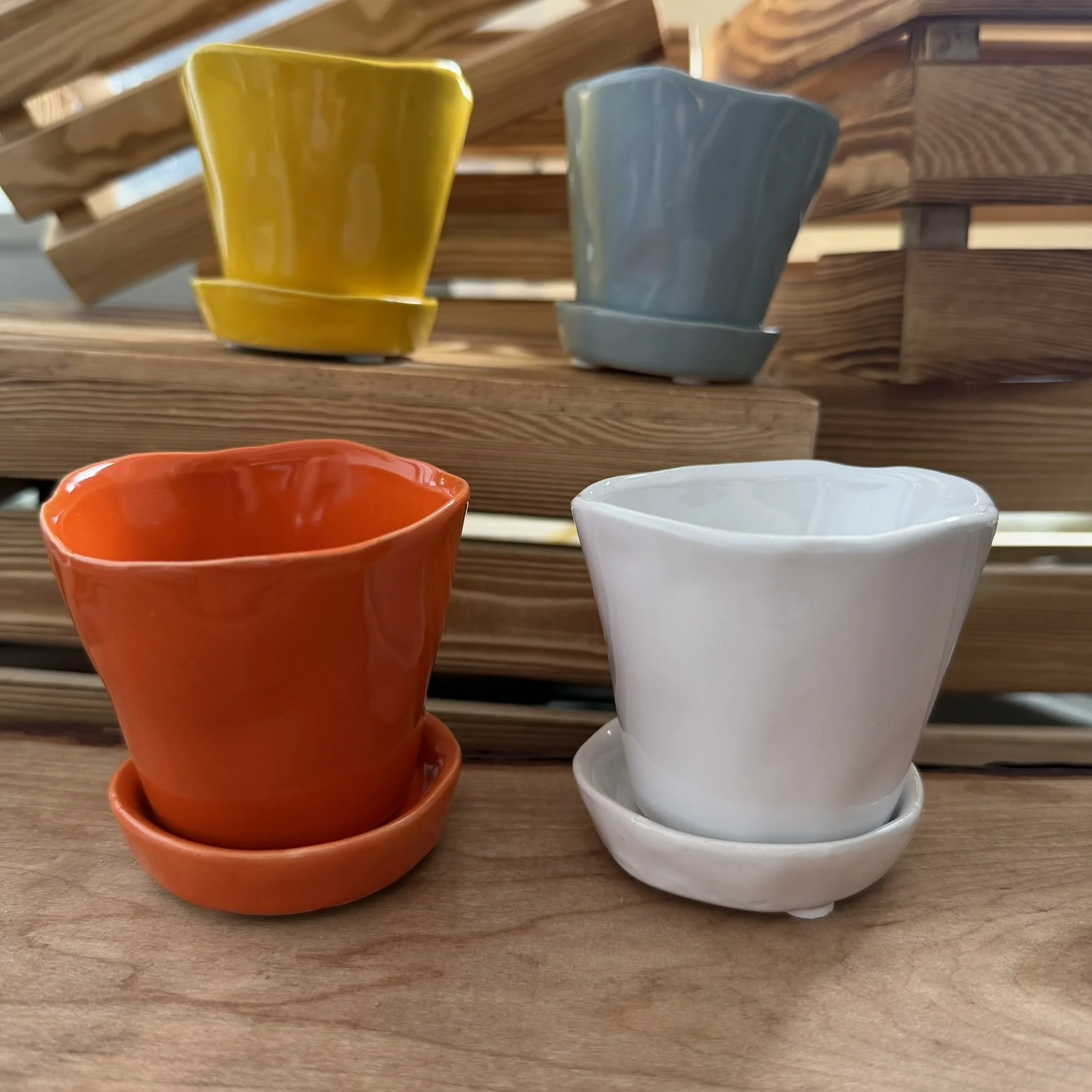 Garden Plant Tika Pot & Saucer
