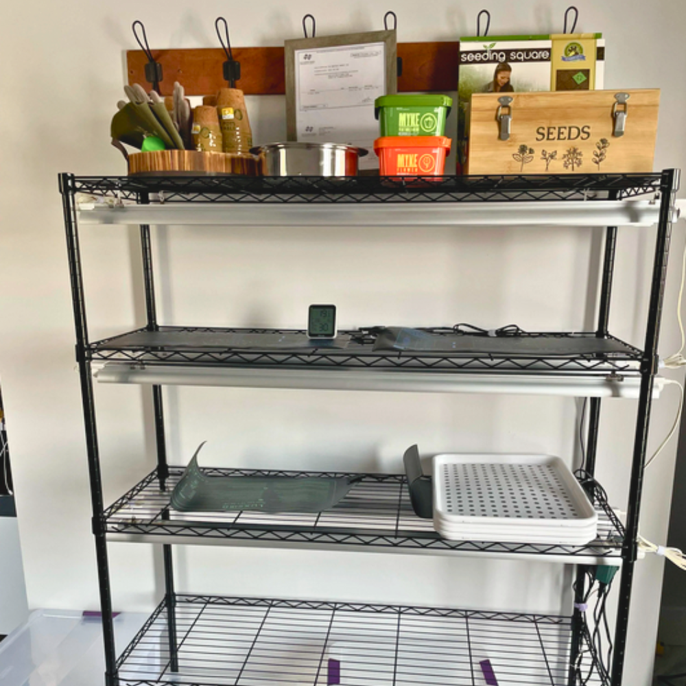 Set up day has finally arrived! 