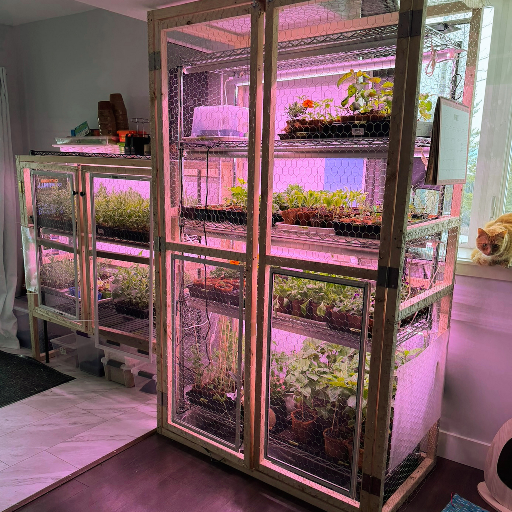 A Whole New Type of Chaos Gardening: Starting a Home Grown Flower Farm