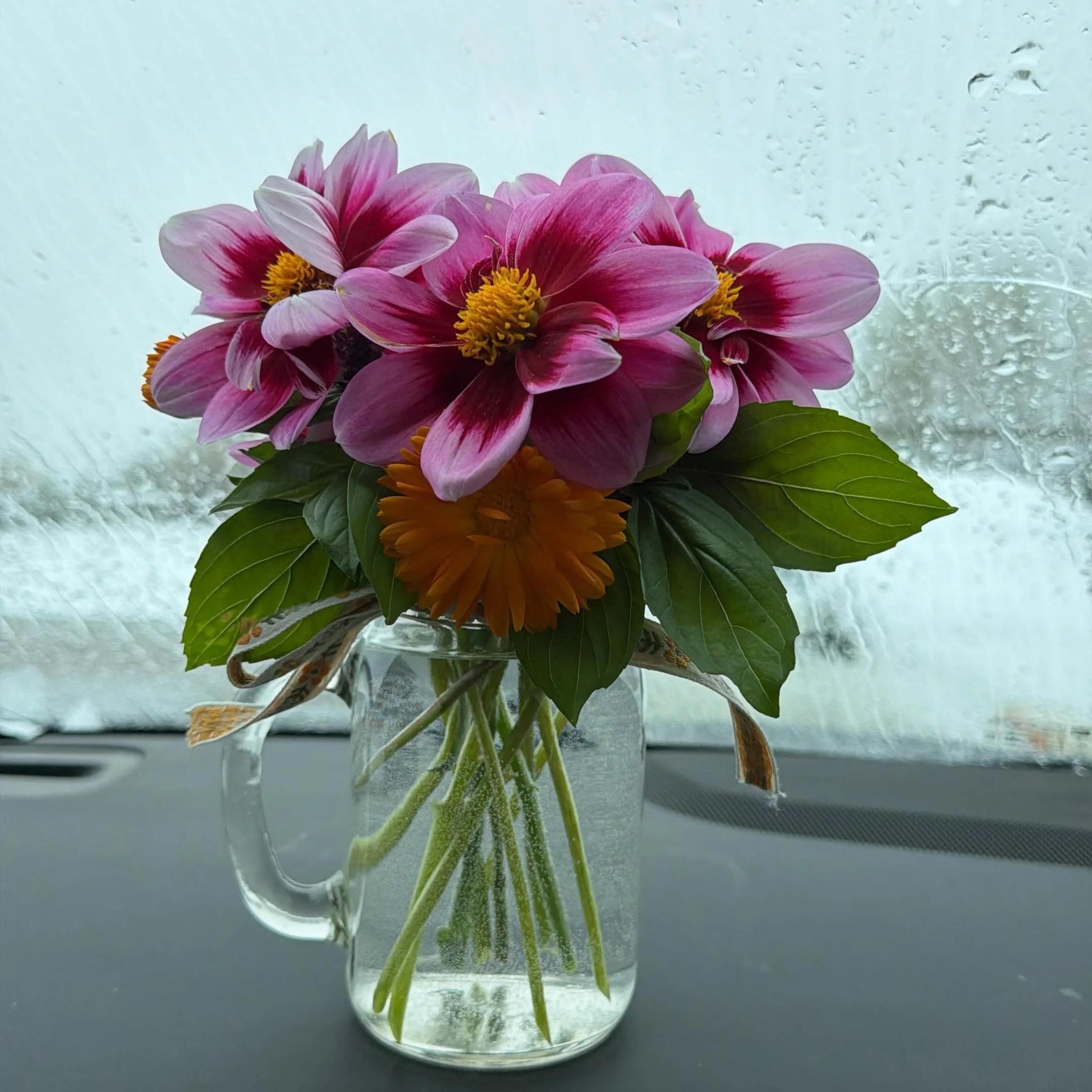 Despite the weather we&rsquo;re on our way to the Lac La Biche Farmer&rsquo;s Market! Drop by our green, blooming table to escape the snow!

#laclabiche #laclabicheregion #albertafarmersmarket #flowerfarm #themarigoldmarket