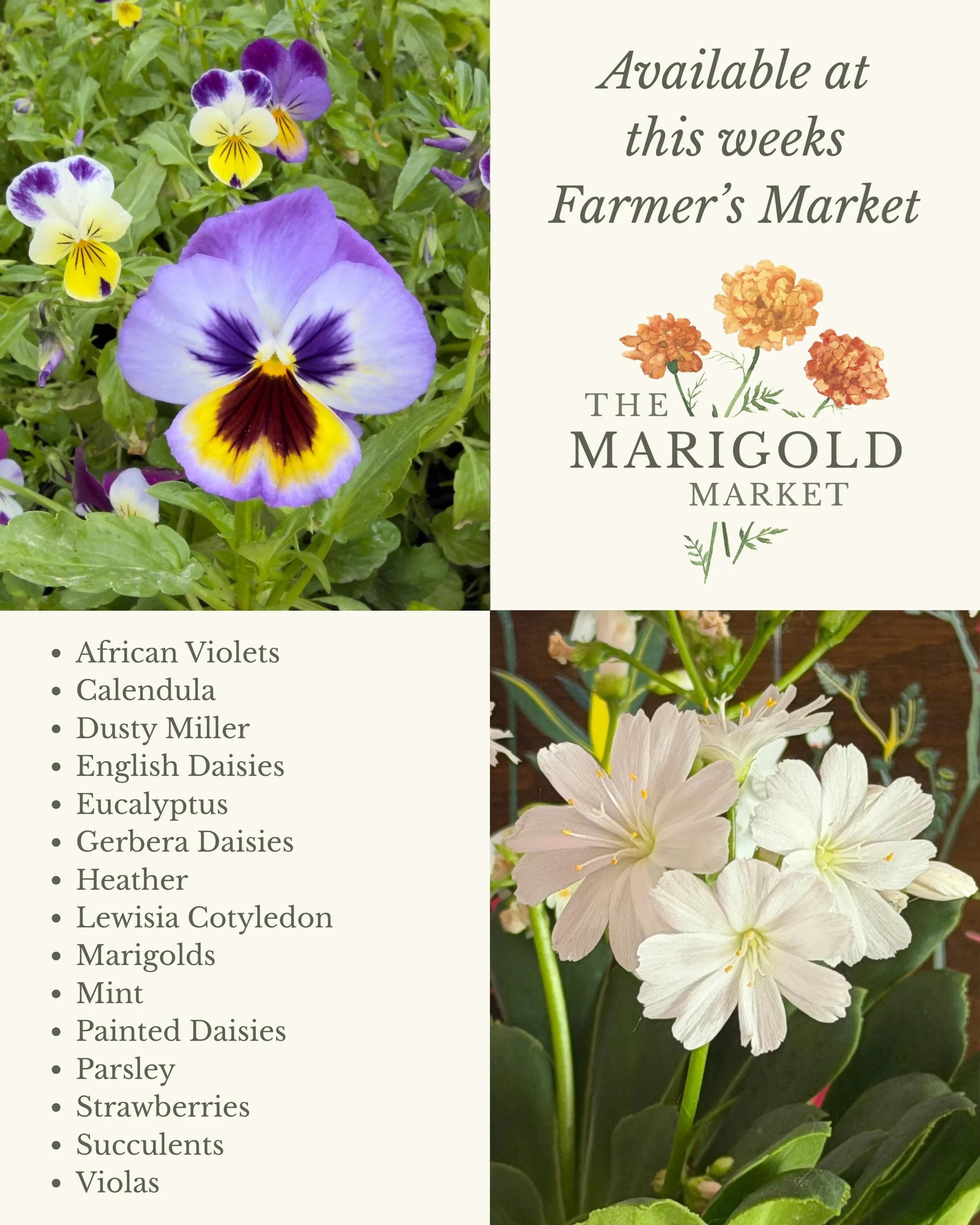 We&rsquo;re so happy gardening season is in full swing! We&rsquo;ve got you covered for your outdoor garden needs with the final days of our 20% off sale!

We&rsquo;ll be at the Lac La Biche Farmer&rsquo;s Market on Friday, June 5th and at the Garden