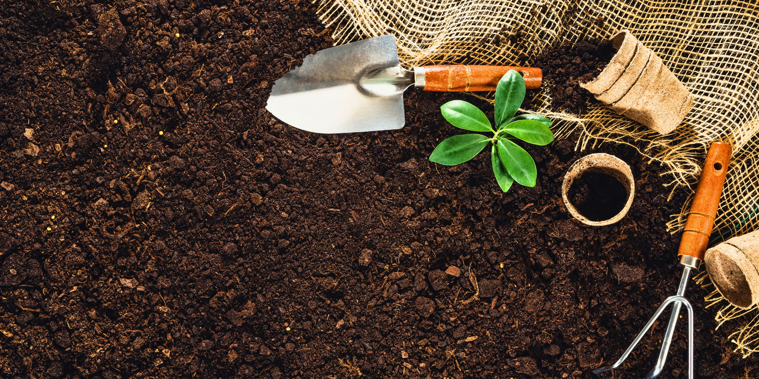 A garden scene with a green seedling, gardening tools, and soil.
