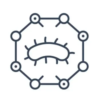 A diagram of a bacteria cell with a central rod-shaped structure and surrounding circular components connected by lines.