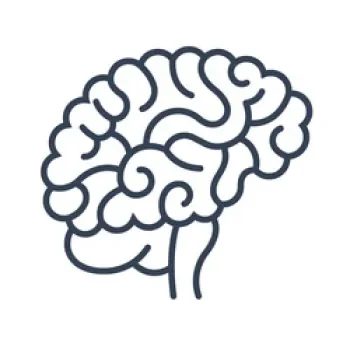 Illustration of a human brain depicted in a simple, black outline style.