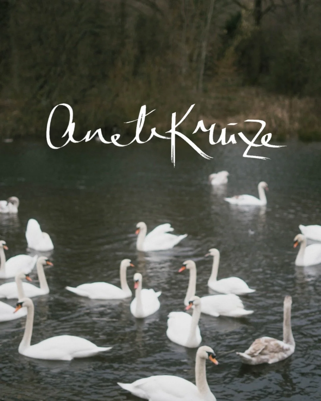 A little intro 👋🏻