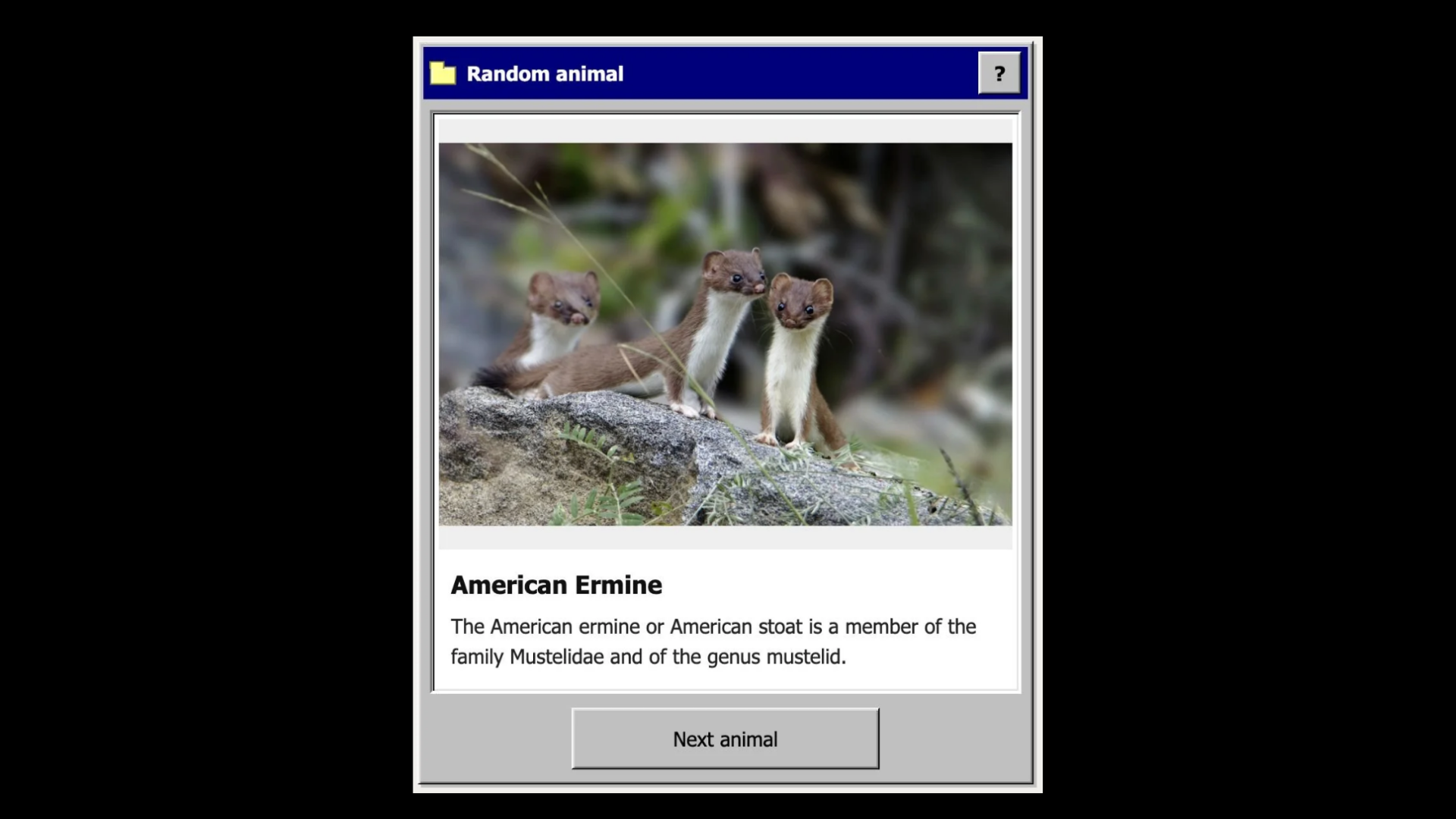 Random Animal [widget]