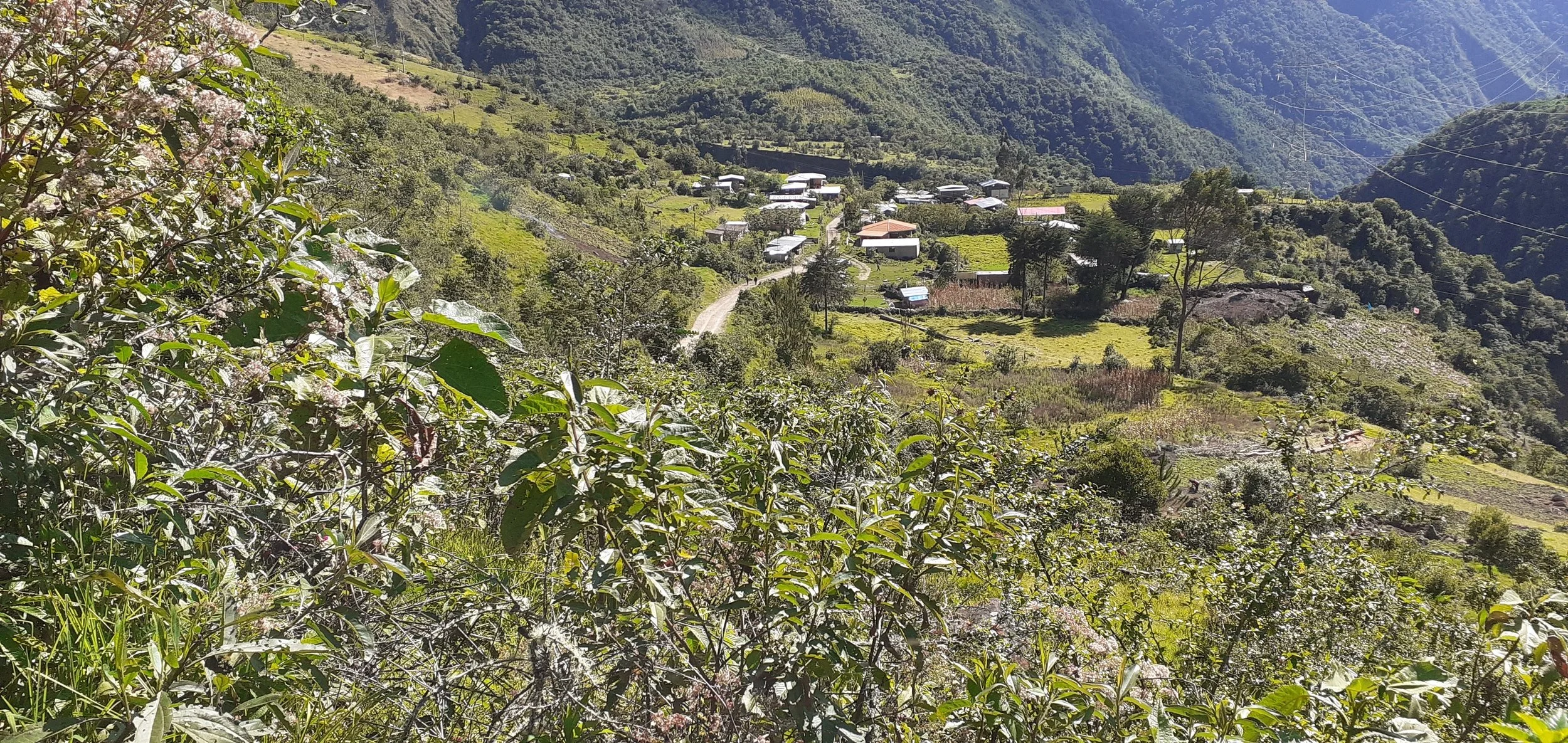 Hilly landscape with a village, trees, and cultivated fields under a sunny sky.