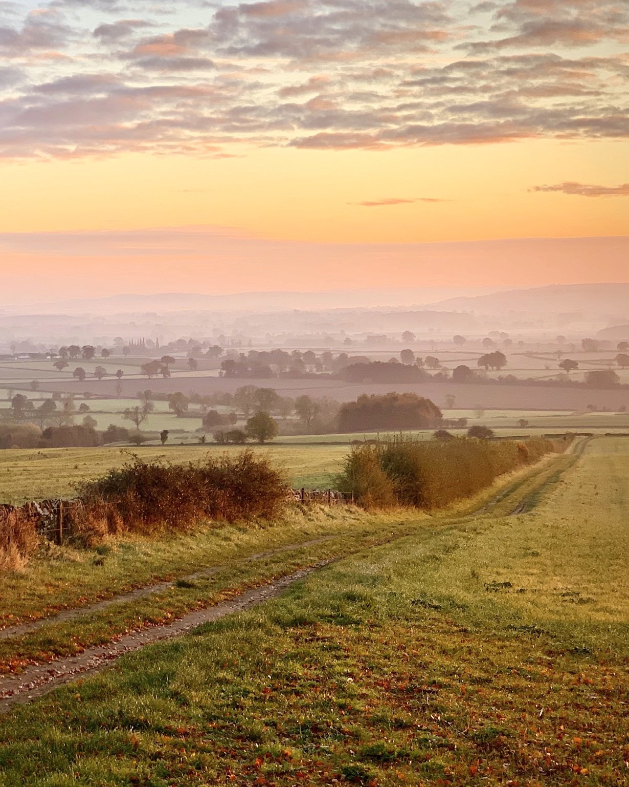 Rolling countryside in the North Cotswolds at sunrise, where Forma walks and classes take place.
