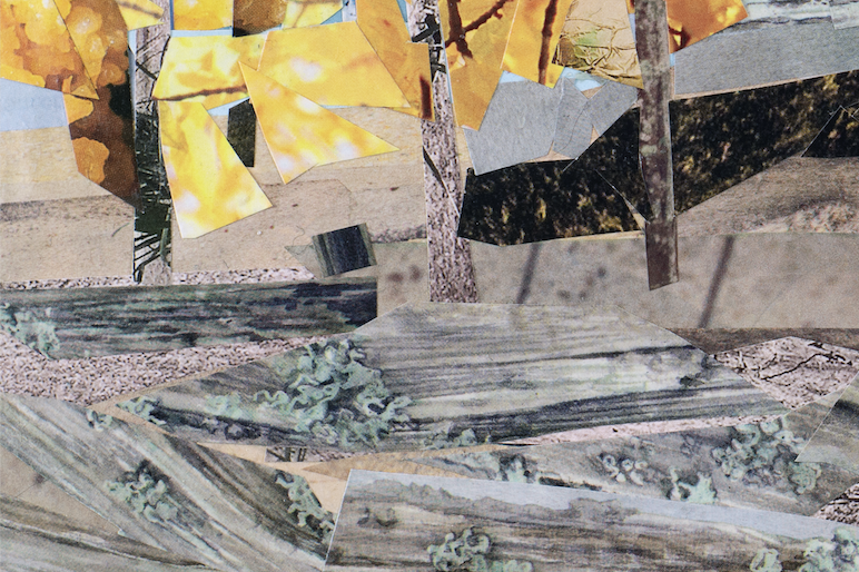 Under the Aspens, by Elena K. Abbott, Detail 2.png