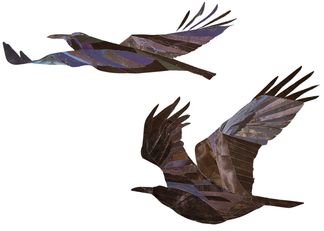 Thumbnail image of two collaged crows flying together