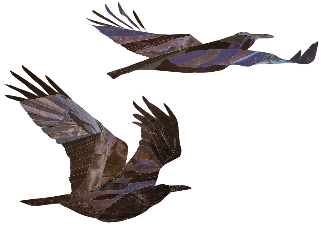 Thumbnail image of two collaged crows flying together