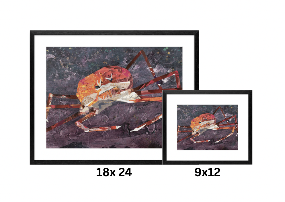 In the Deep print in black wood frame with mat, showing overall dimensions for print sizes 18x24 and 9x12