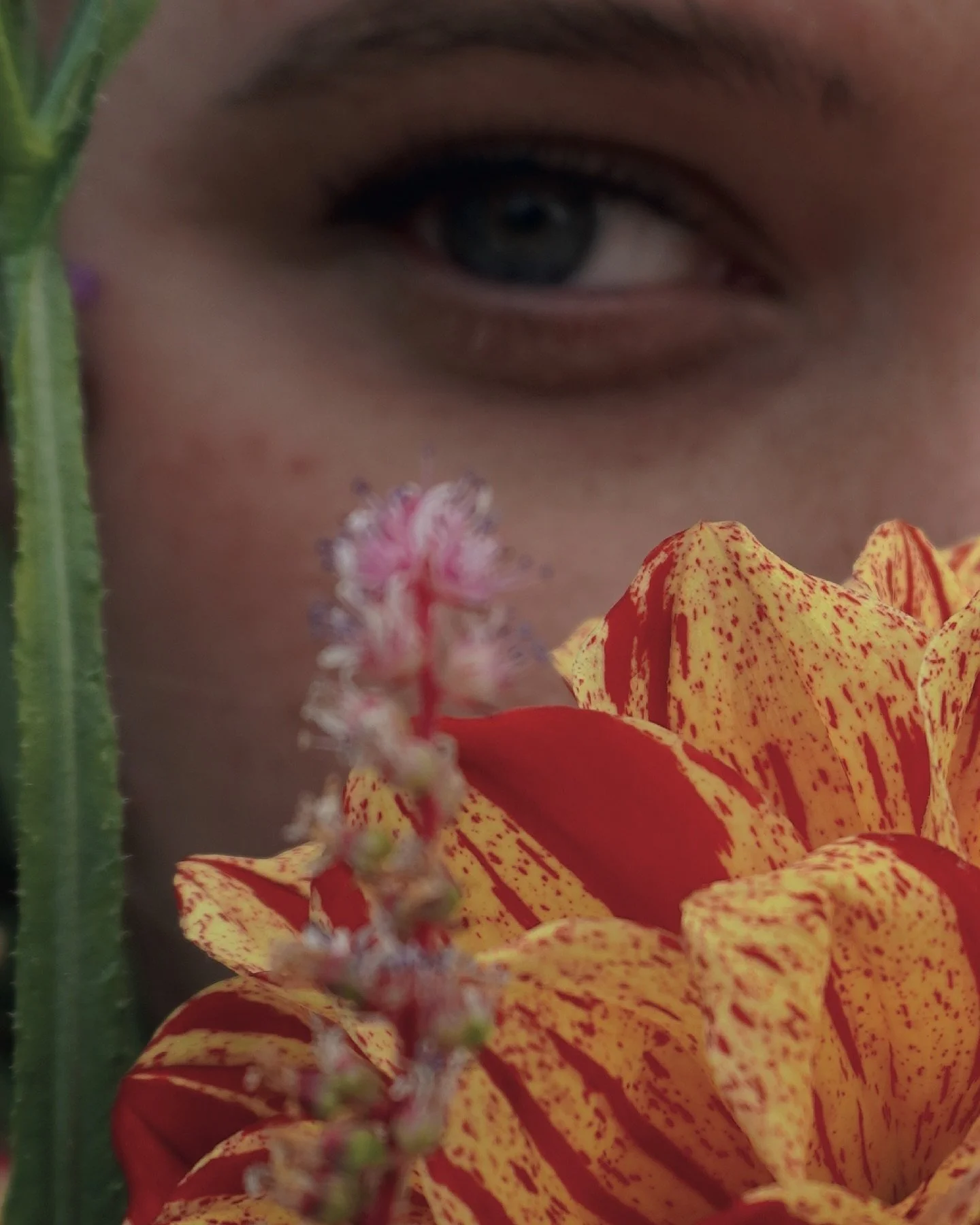 when you write sad songs you also listen to a lot of sad songs and sometimes you just have to mention some of them in your own sad songs 🤍 honey rose is out Oct 22