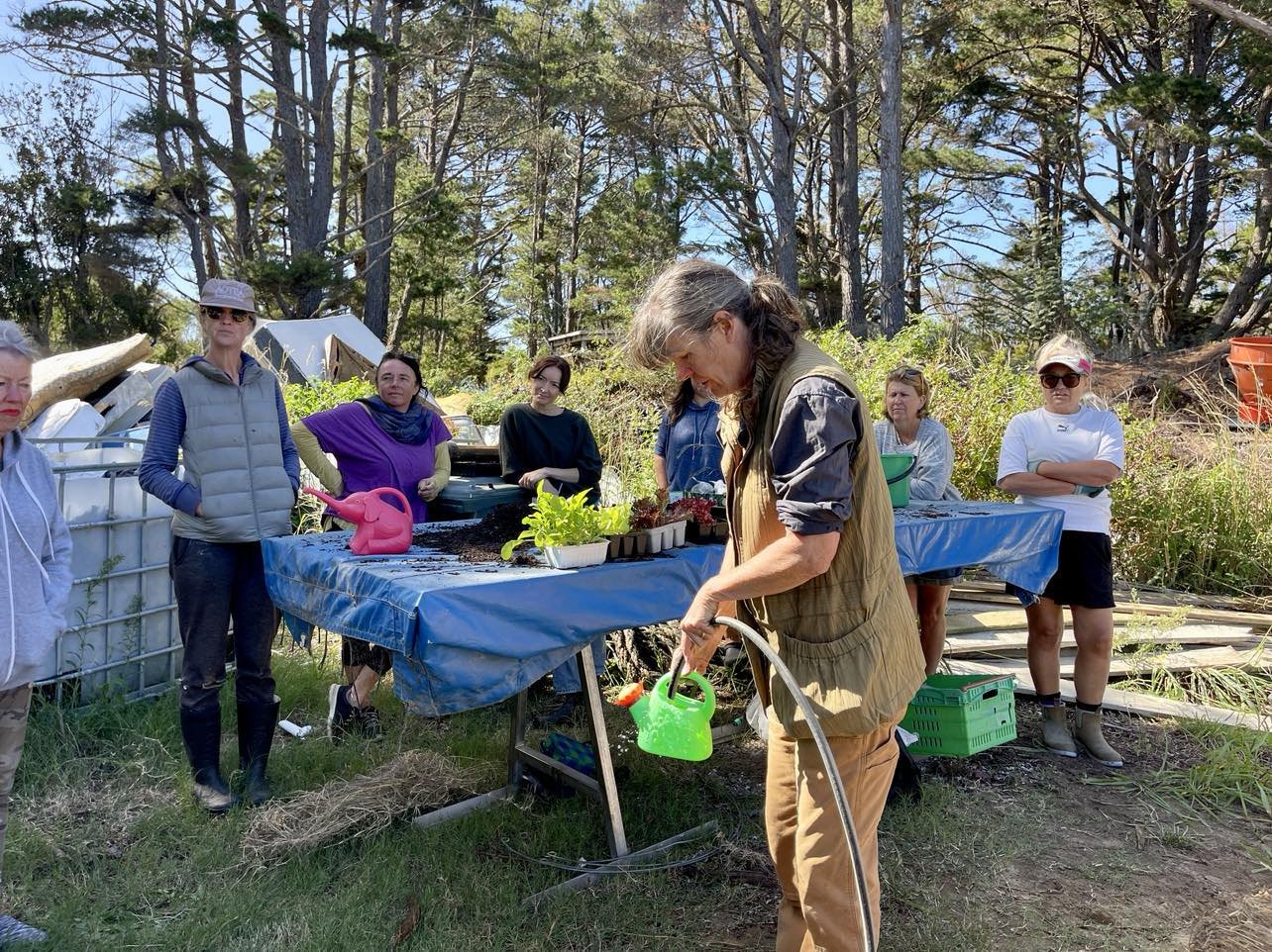 Garden bed workshop with Caity