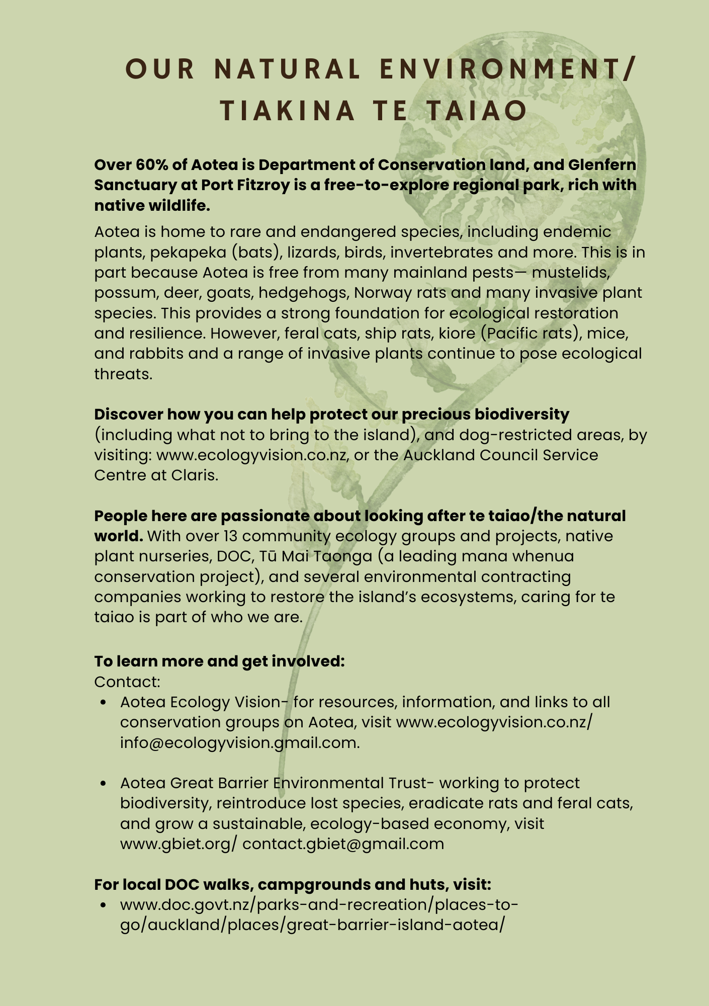 13. Caring for Te Taiao 1.png