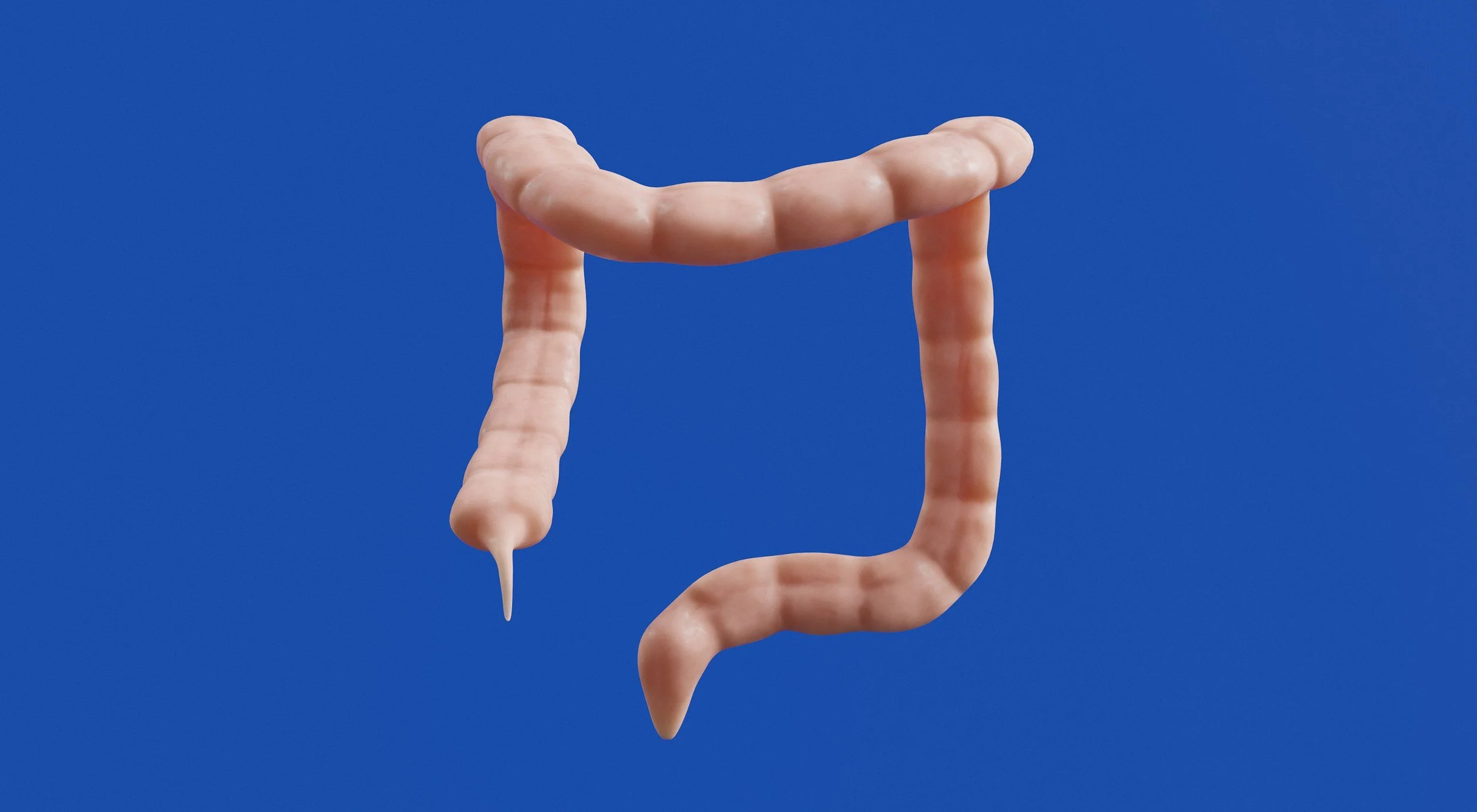 A digitally created illustration of a human colon shaped like a square with a tongue hanging from the lower part, set against a blue background.