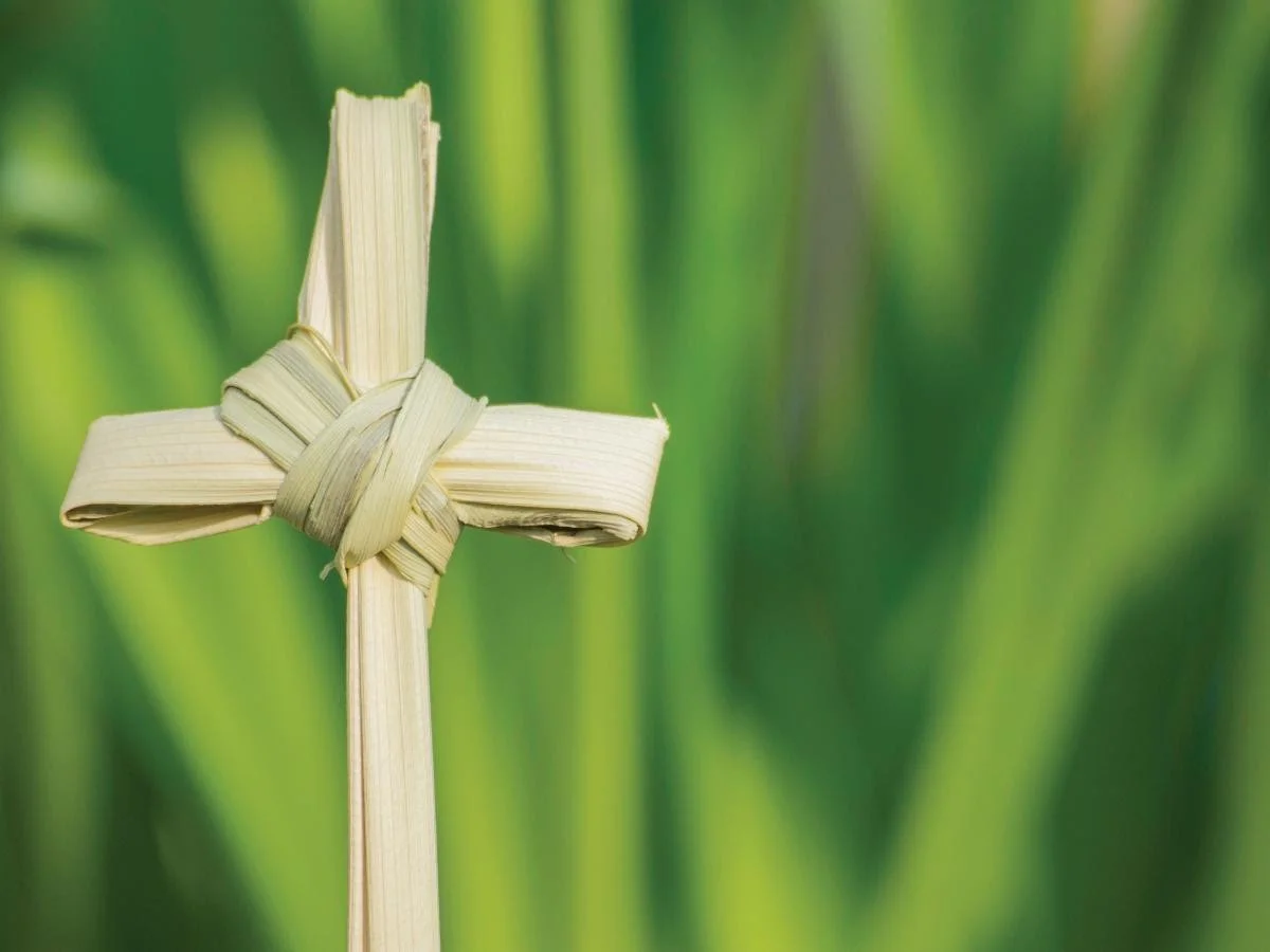 Palm Cross Making