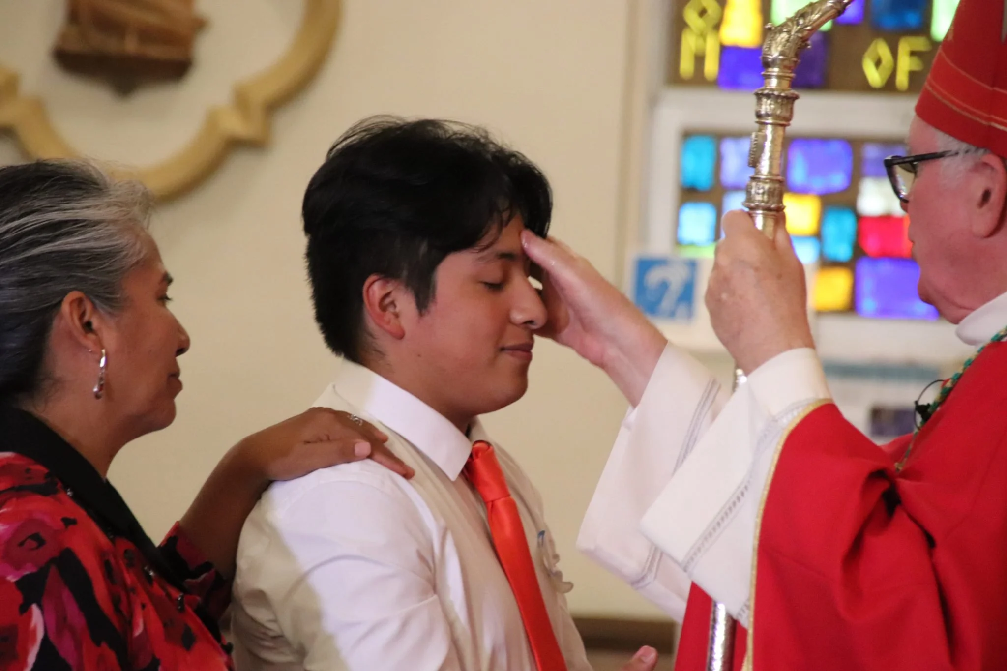 Interested in Confirmation?