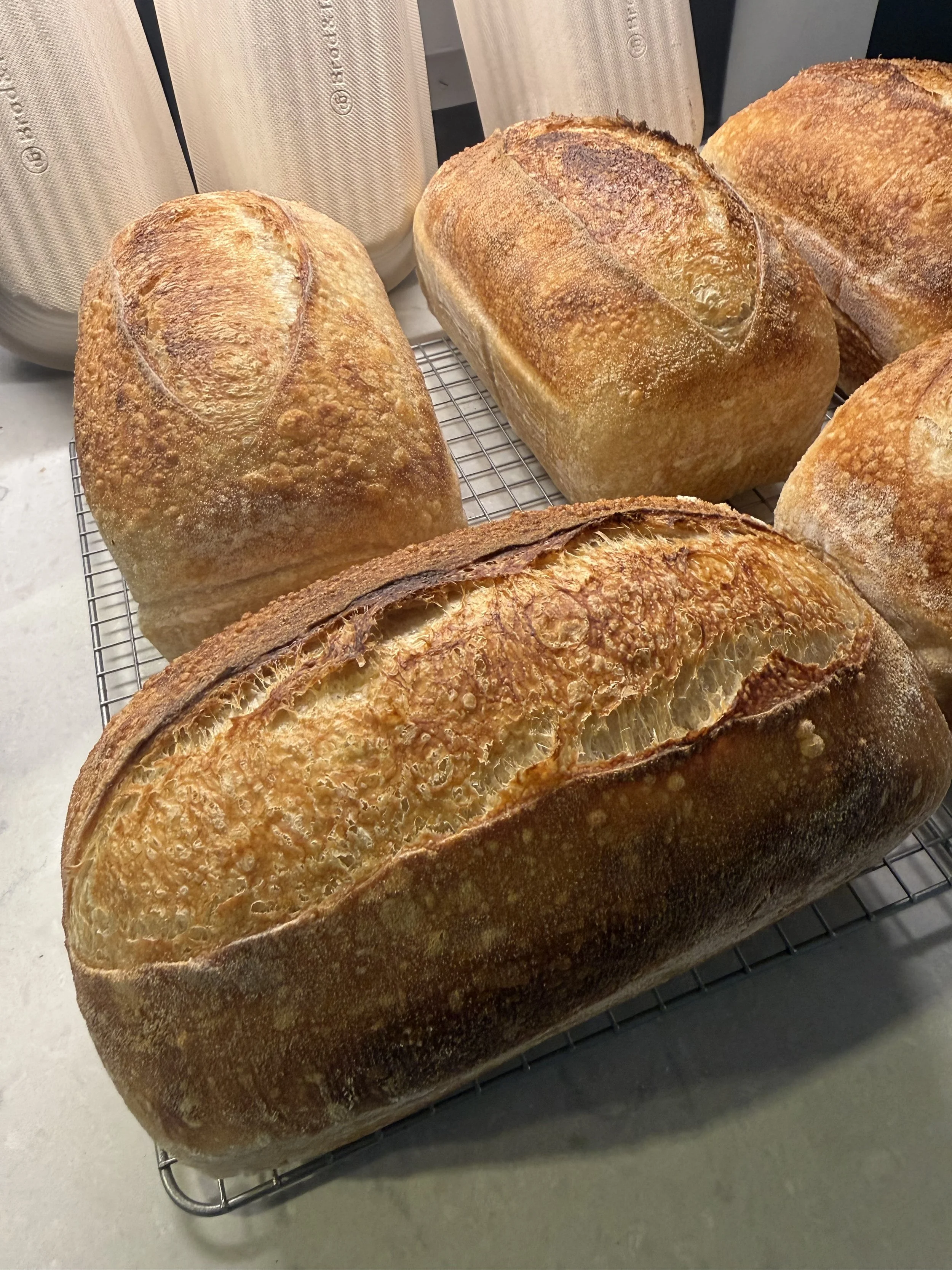 Organic Classic Artisan Sourdough Bread
