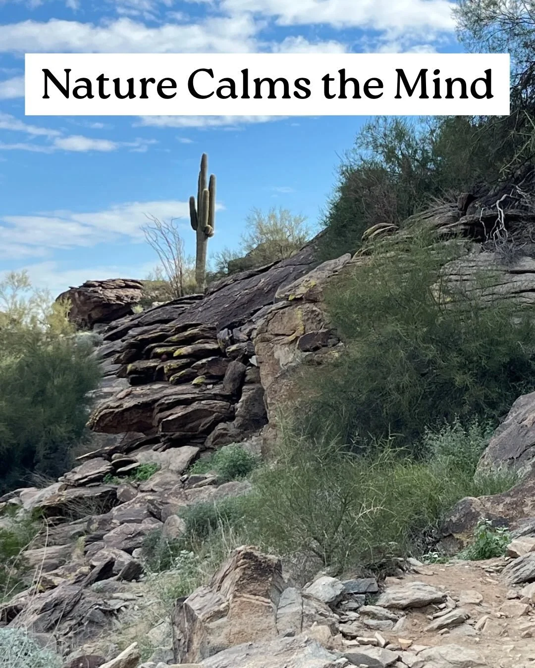 Nature is a powerful reset button for the mind, gently pulling us out of stress and back into the present moment. Even a short walk outdoors can shift your mood, calm racing thoughts, and bring clarity where there once was overwhelm. The fresh air, n