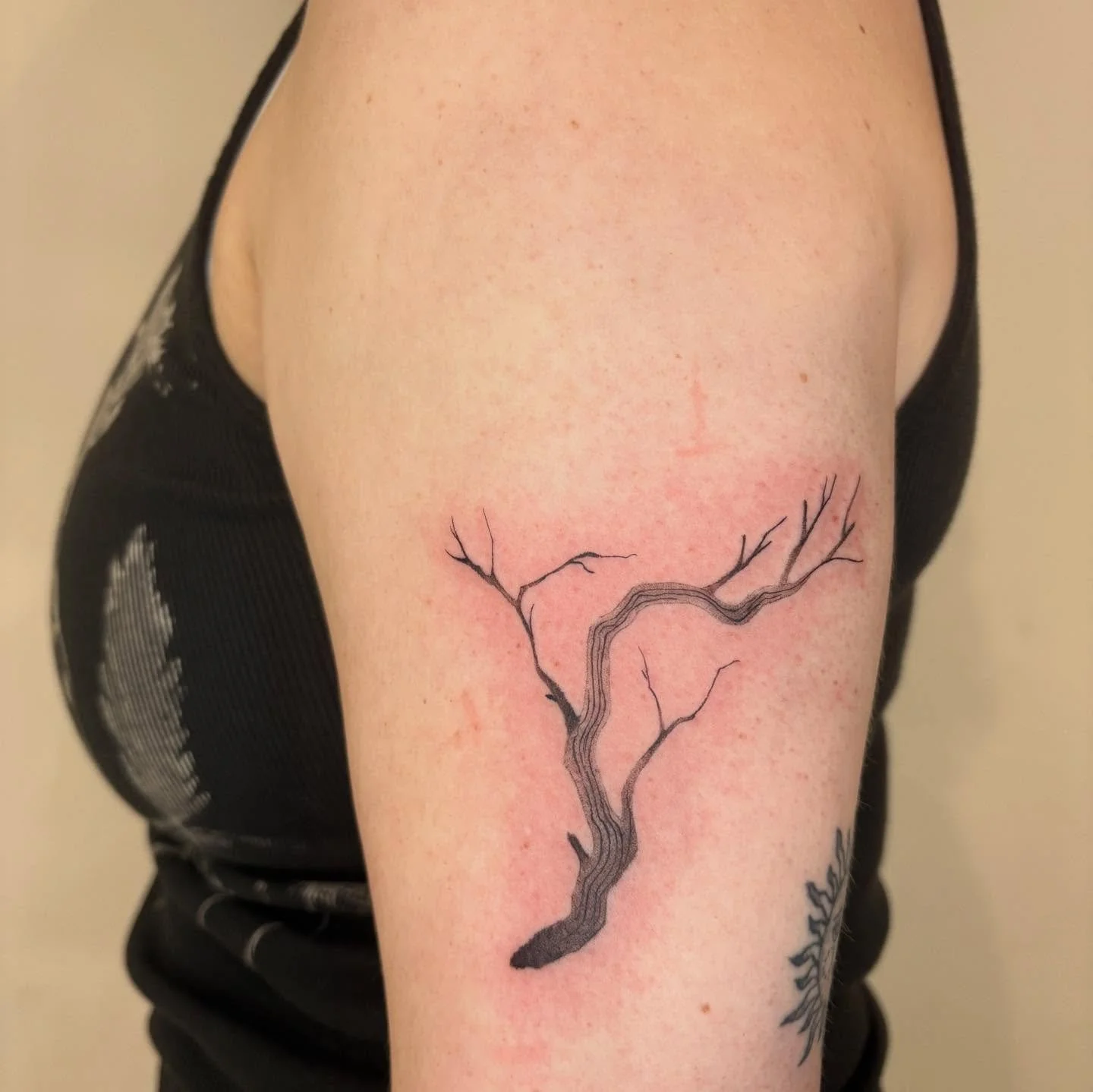 Simply, a branch 🪾

NYC bookings open for Jan-Feb. DM or link in bio to book! 

#tattoo #tattoos #nyctattoos #nyctattooshop #nyctattooartist