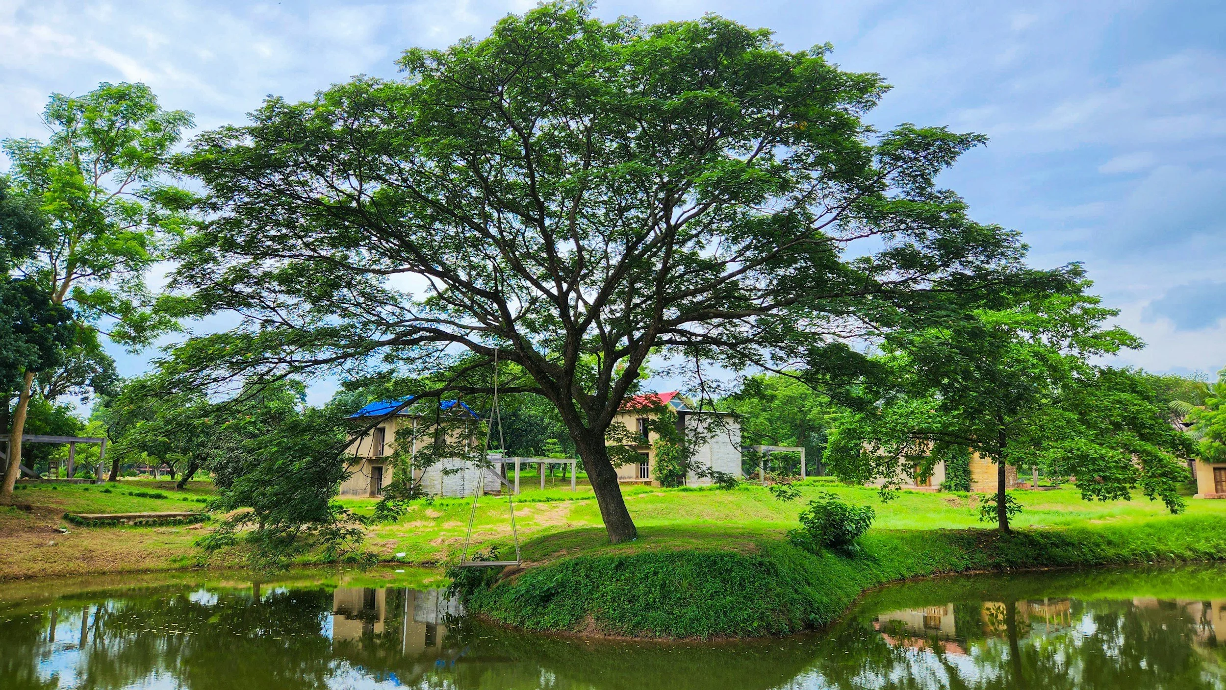 A serene park with a large leafy tree beside a calm pond, with houses and greenery in the background under a partly cloudy sky.