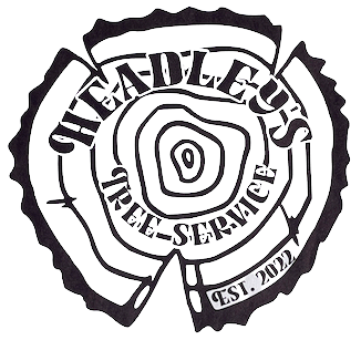 A black-and-white logo featuring a circular design with the text 'The Hiverlhost' and 'The Sound of Search' around the circumference, and 'EST. 2022' at the bottom.