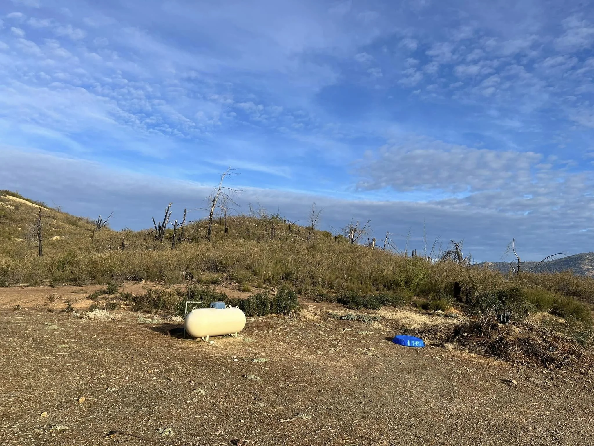 Dry hillside with sparse vegetation, dead trees, cloudy blue sky, propane tank, and a blue dog bowl on the ground.