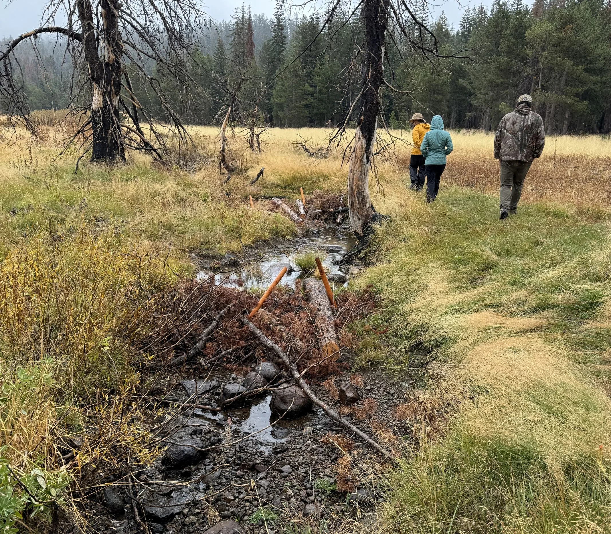 Land Conservation and Preservation