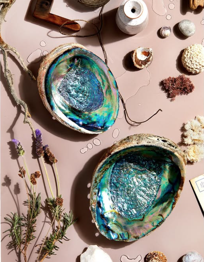 Close-up of two large, iridescent abalone shells on a pink surface, accompanied by small rocks, shells, dried flowers, and jewelry.