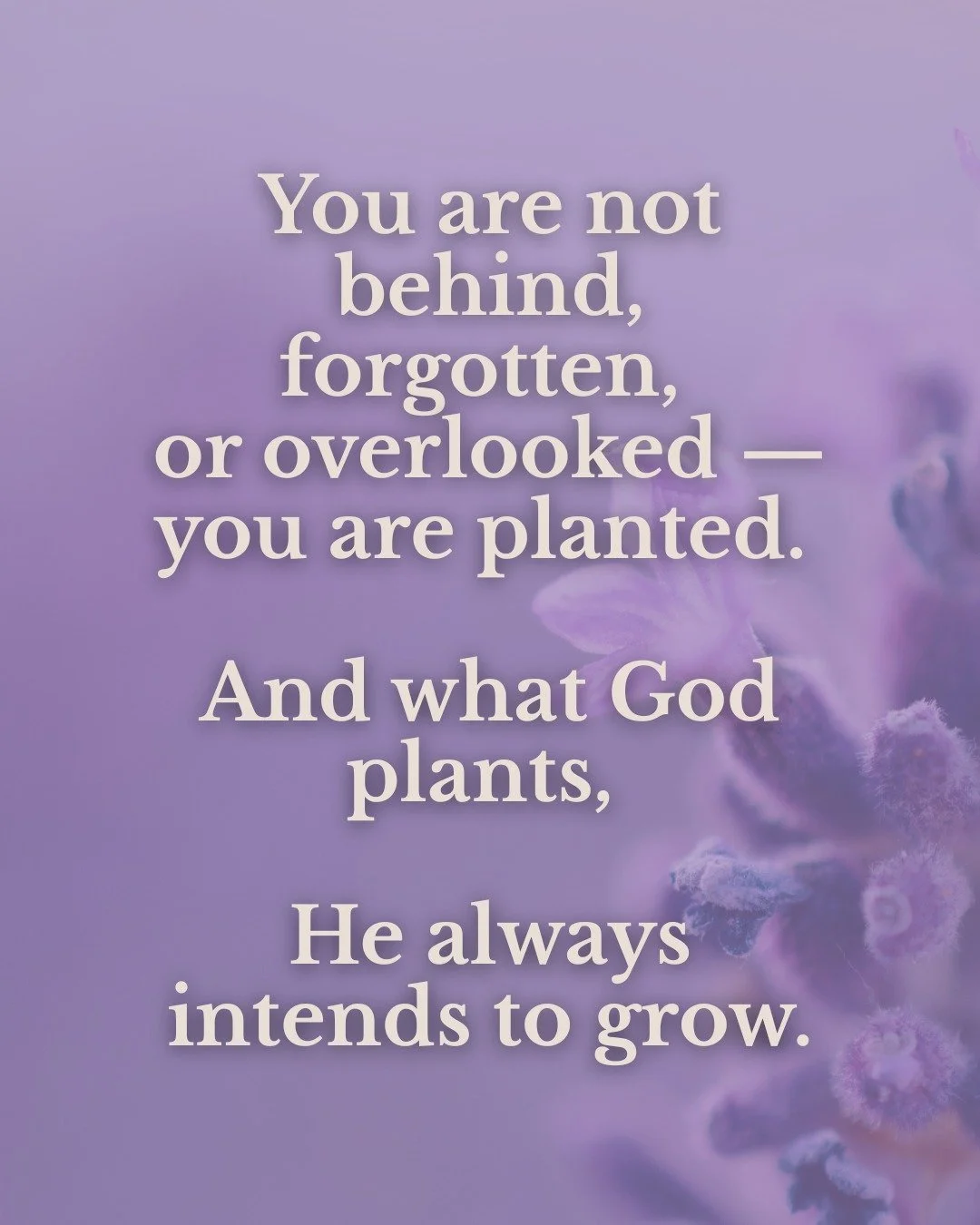 You are not behind, forgotten, or overlooked &mdash; you are planted. 🌱

And what God plants, He always intends to grow.

Even in seasons that feel slow, hidden, or uncertain, there is still purpose beneath the surface. Growth does not always happen